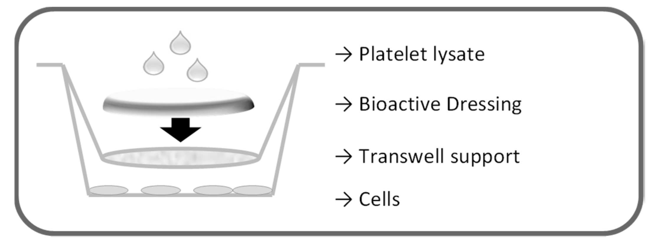 Marinedrugs 16 00056 g017