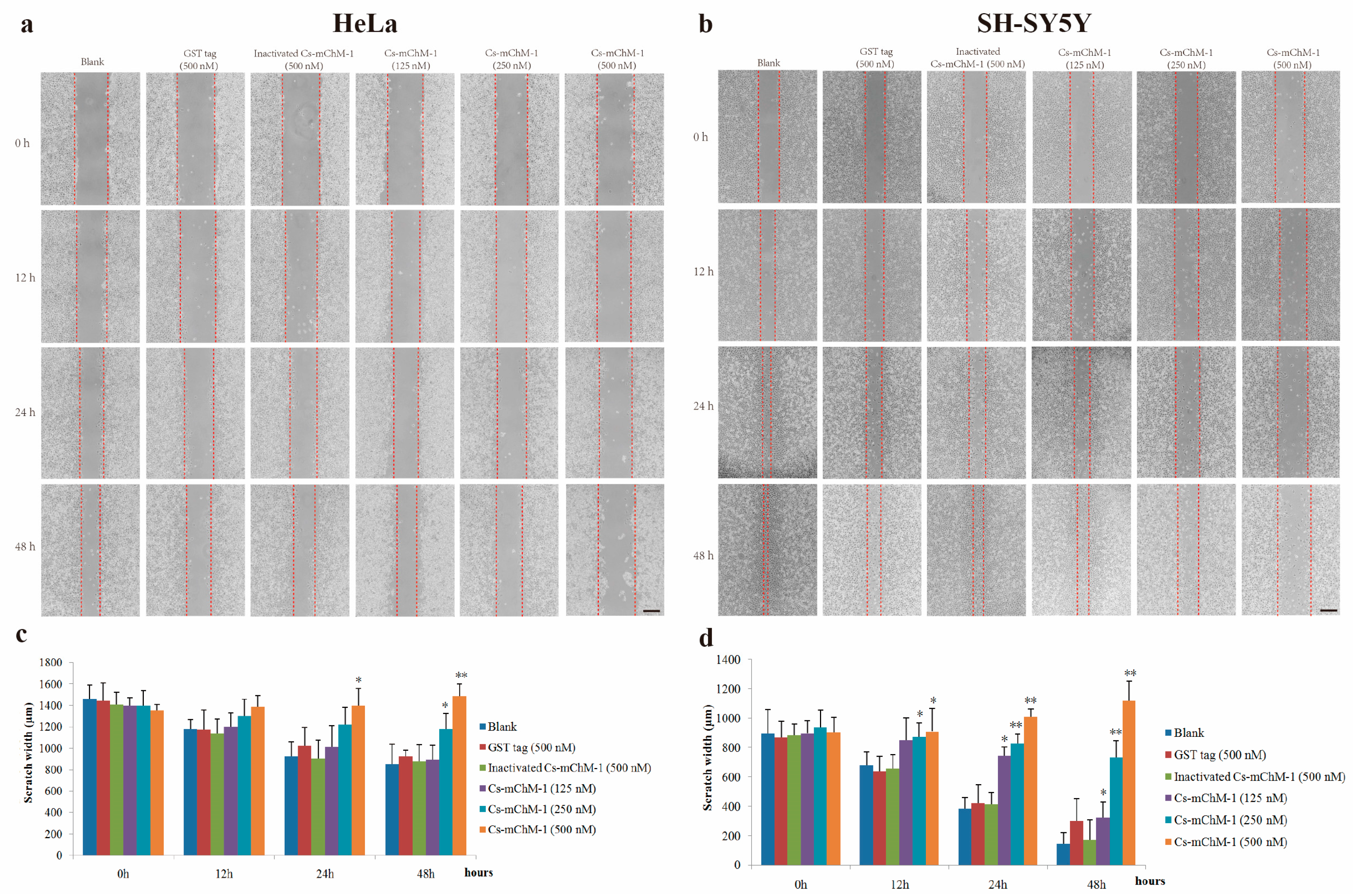 Marinedrugs 16 00059 g004