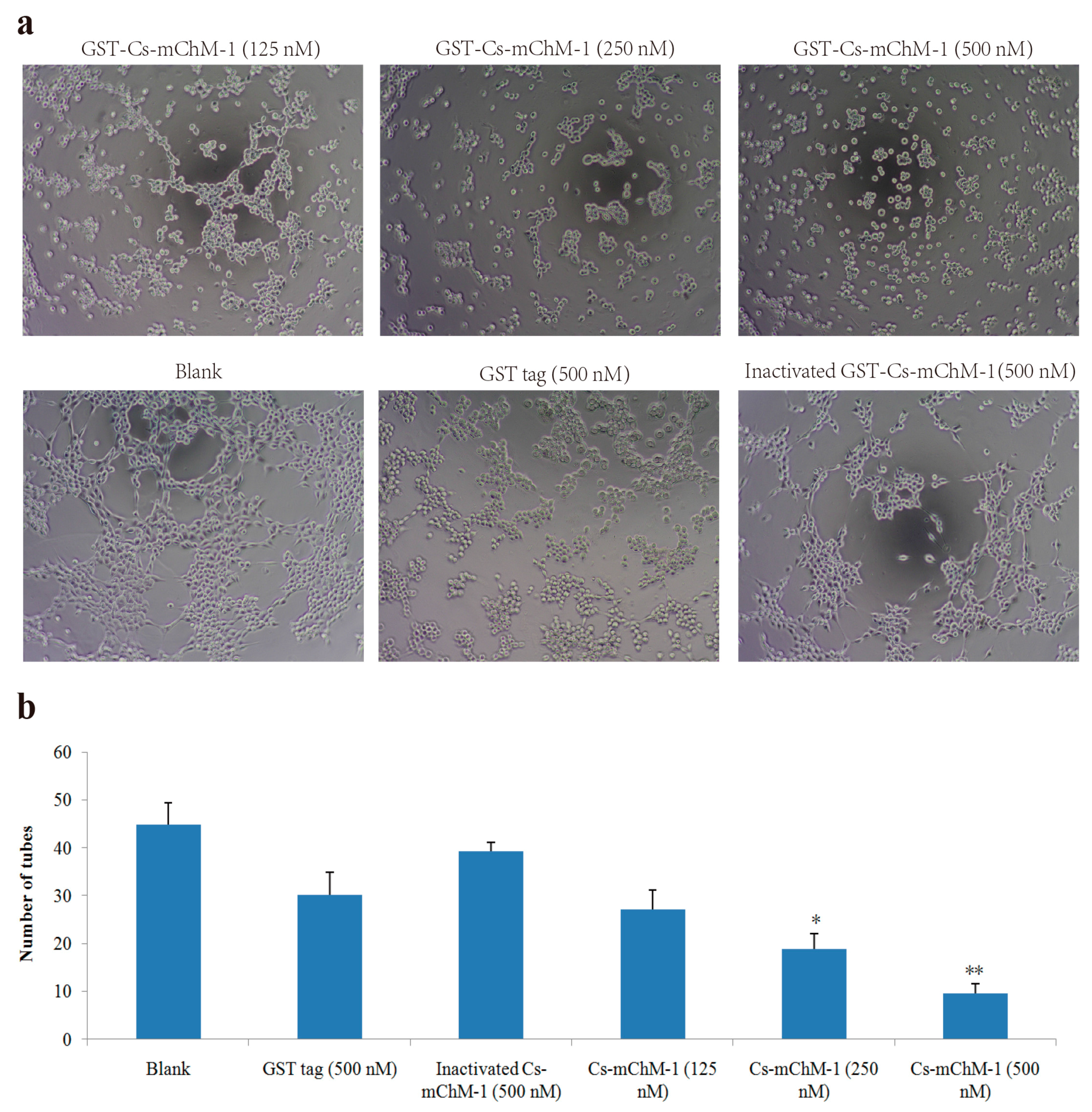 Marinedrugs 16 00059 g005
