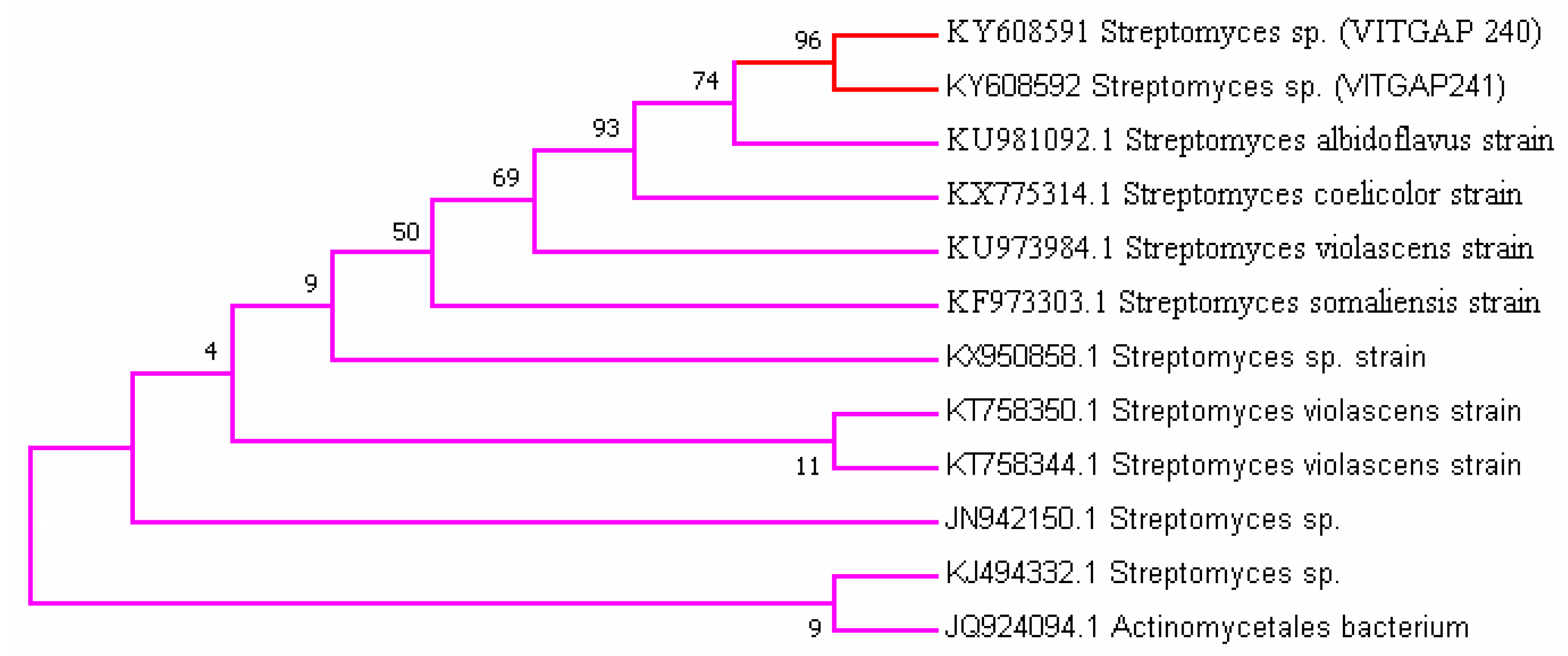Marinedrugs 16 00060 g002