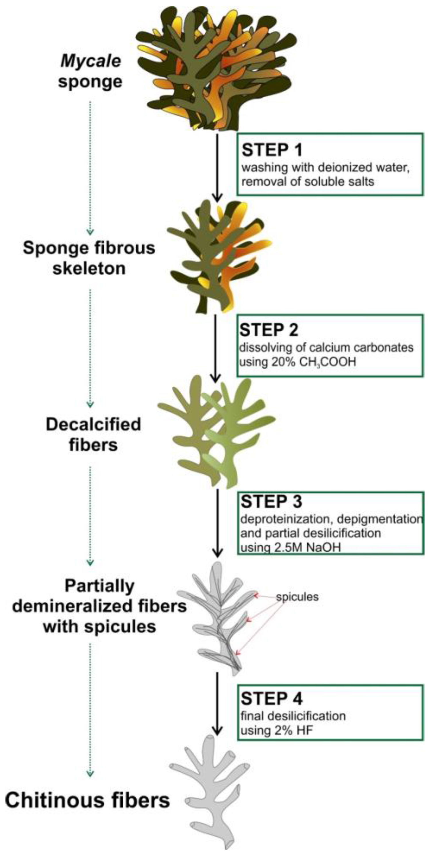 Marinedrugs 16 00068 g002