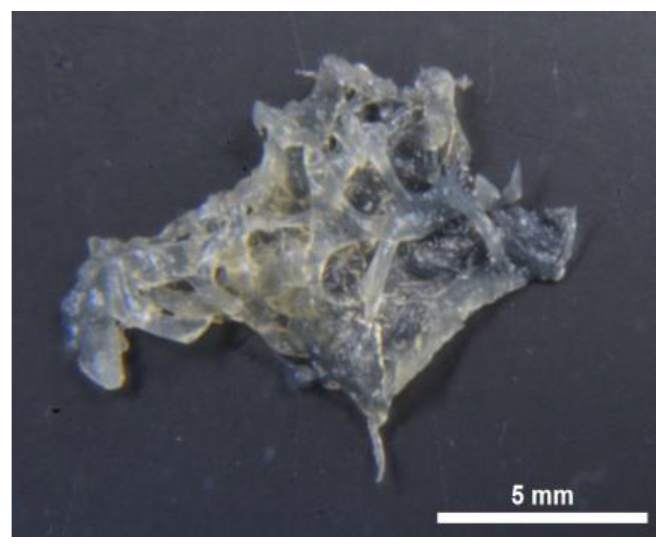 Marinedrugs 16 00068 g003