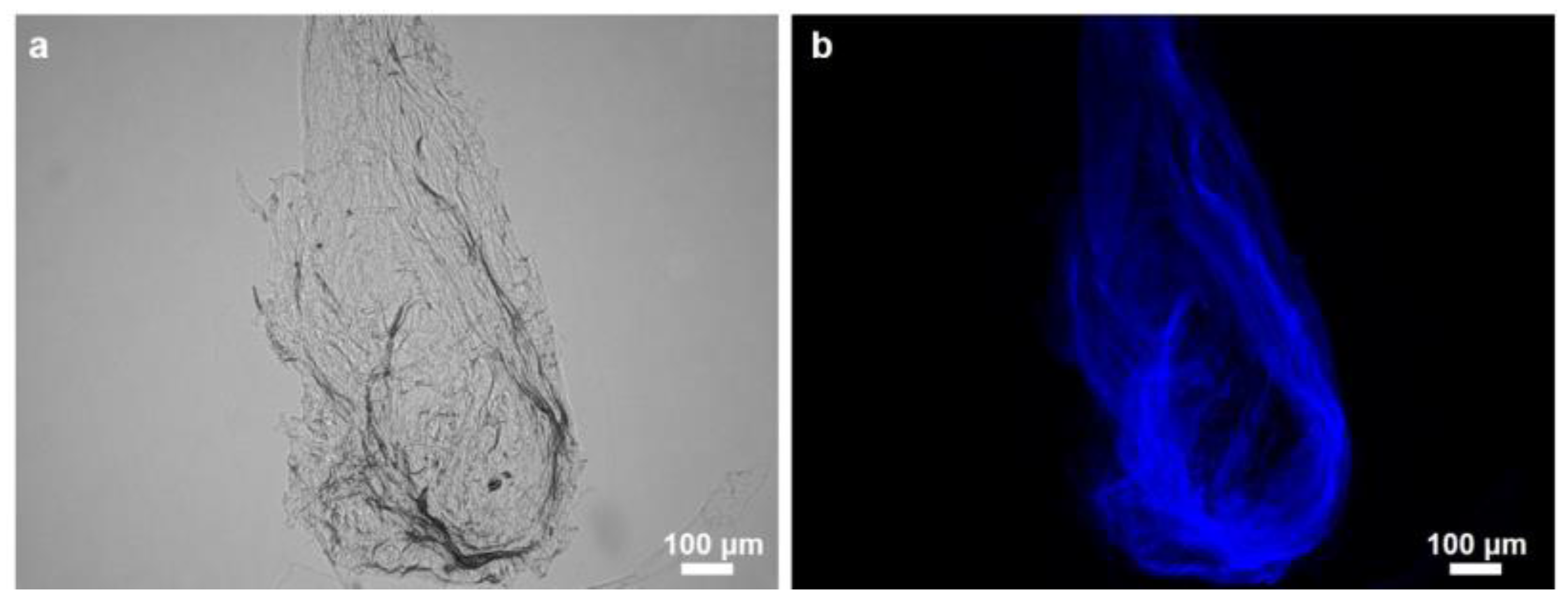 Marinedrugs 16 00068 g006