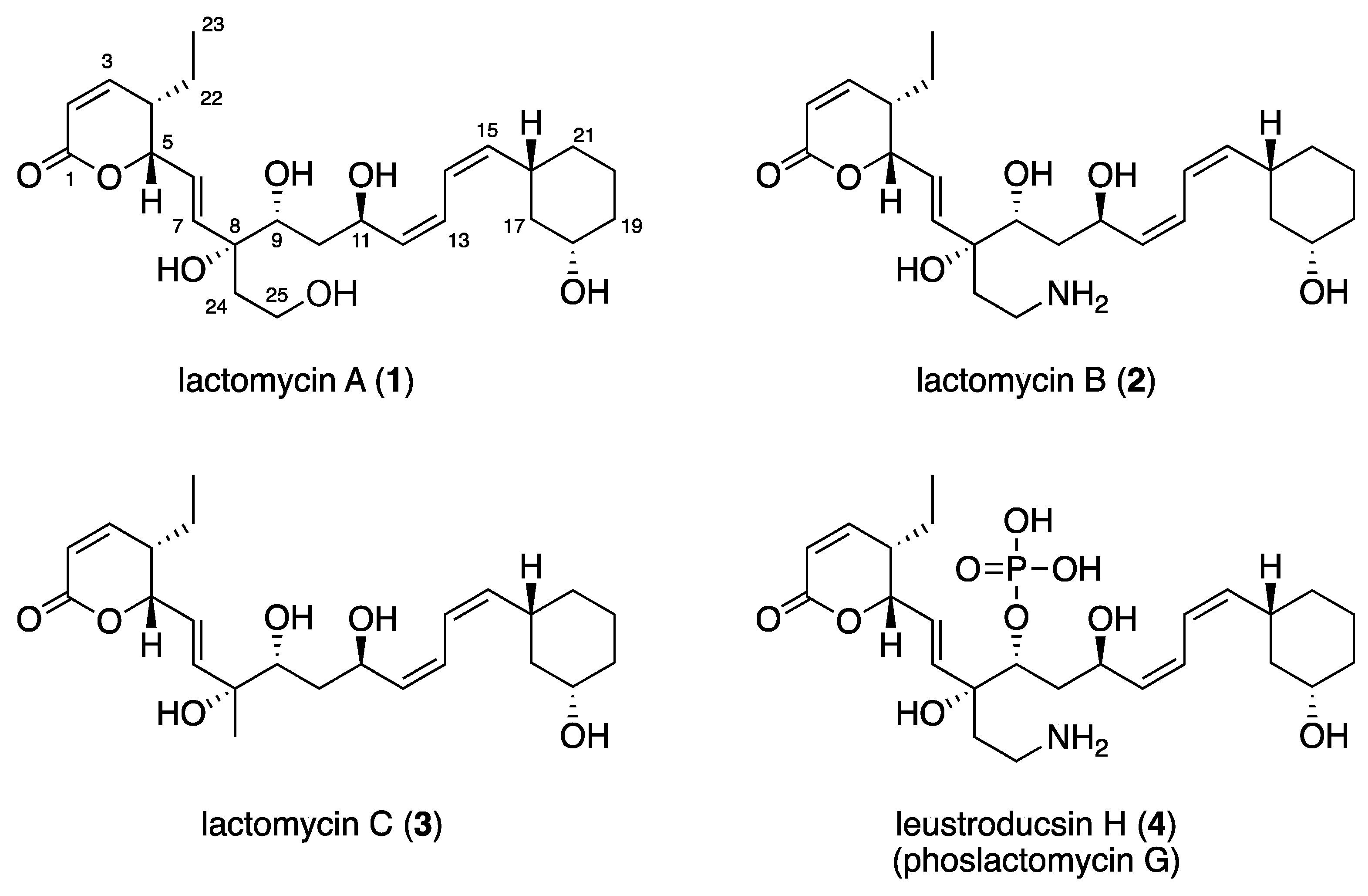 Marinedrugs 16 00070 g001