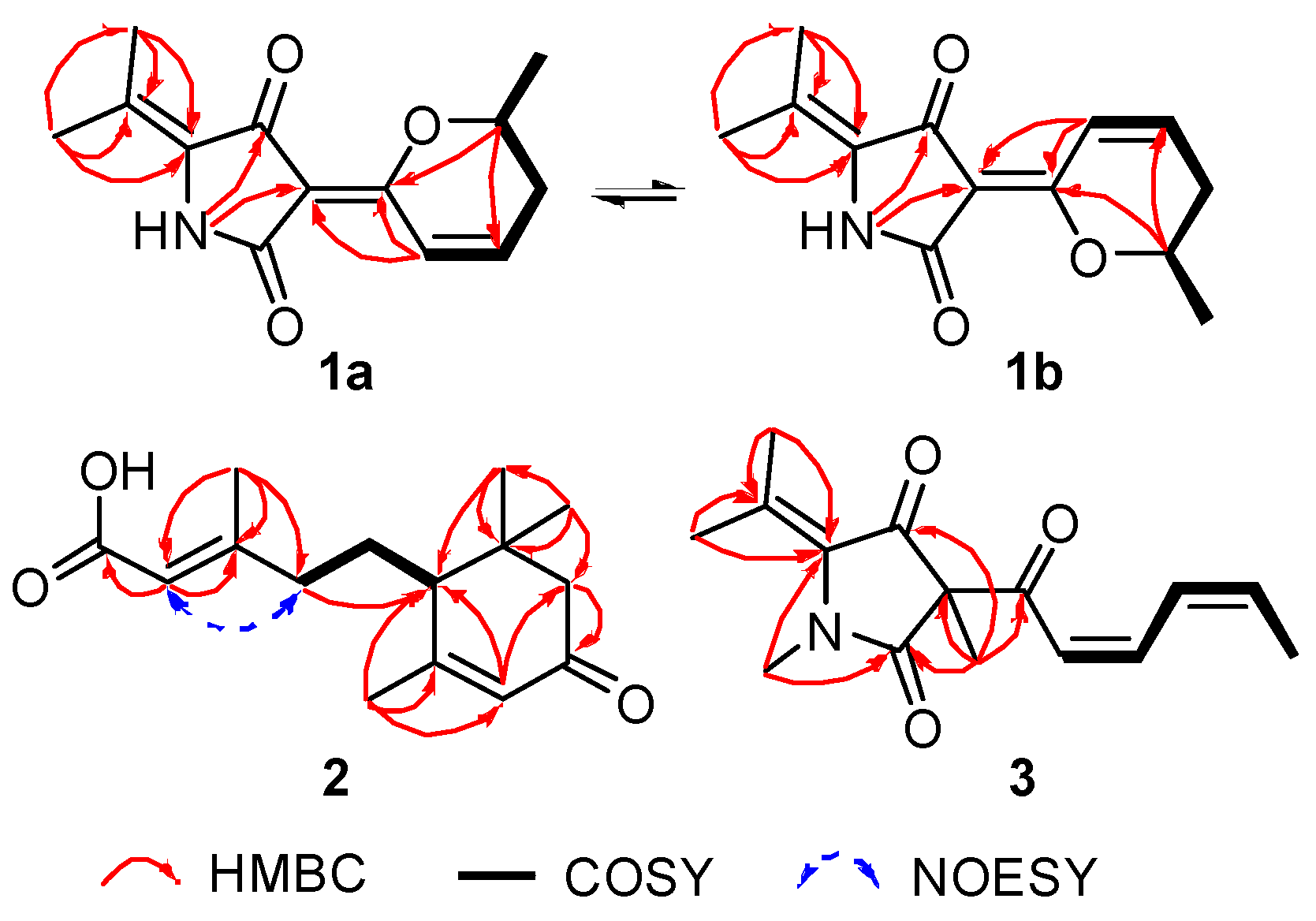 Marinedrugs 16 00071 g002
