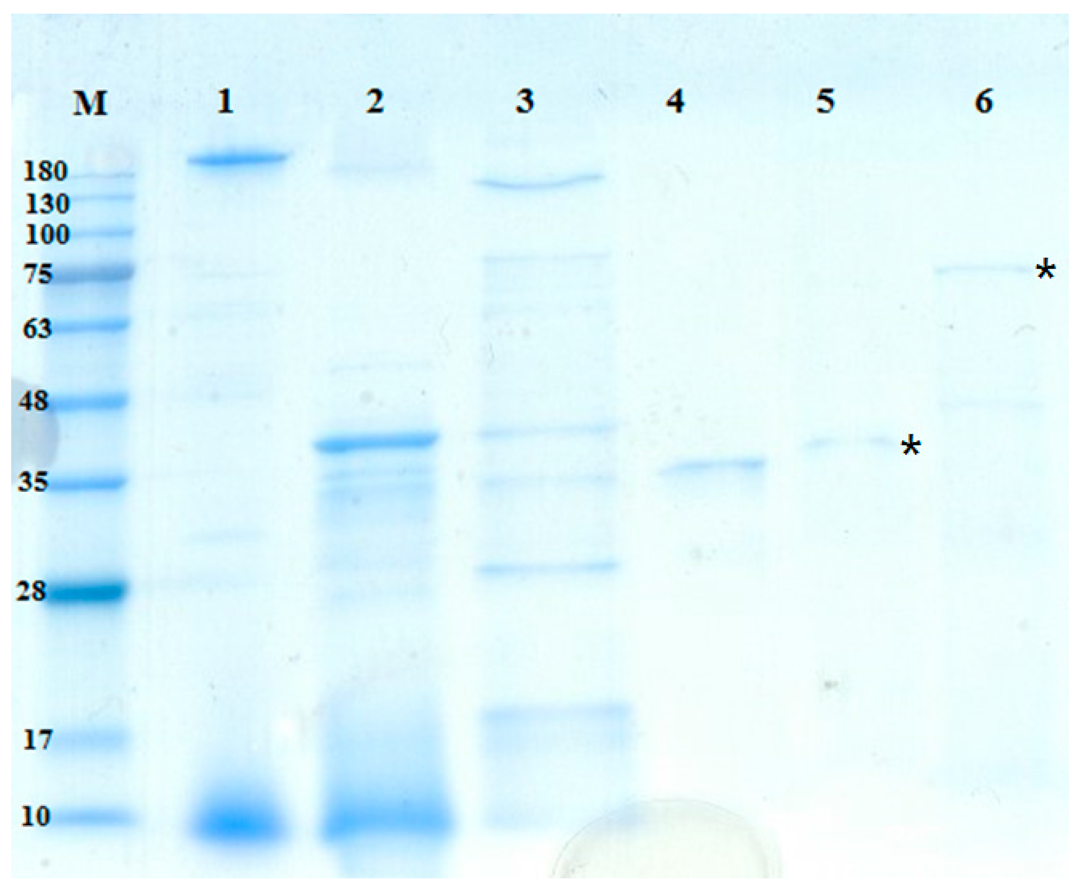 Marinedrugs 16 00083 g004