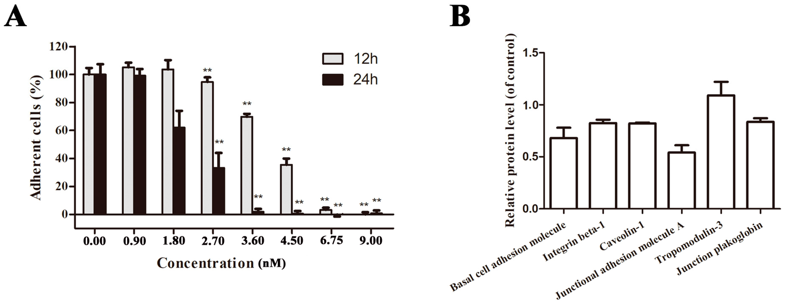 Marinedrugs 16 00085 g004