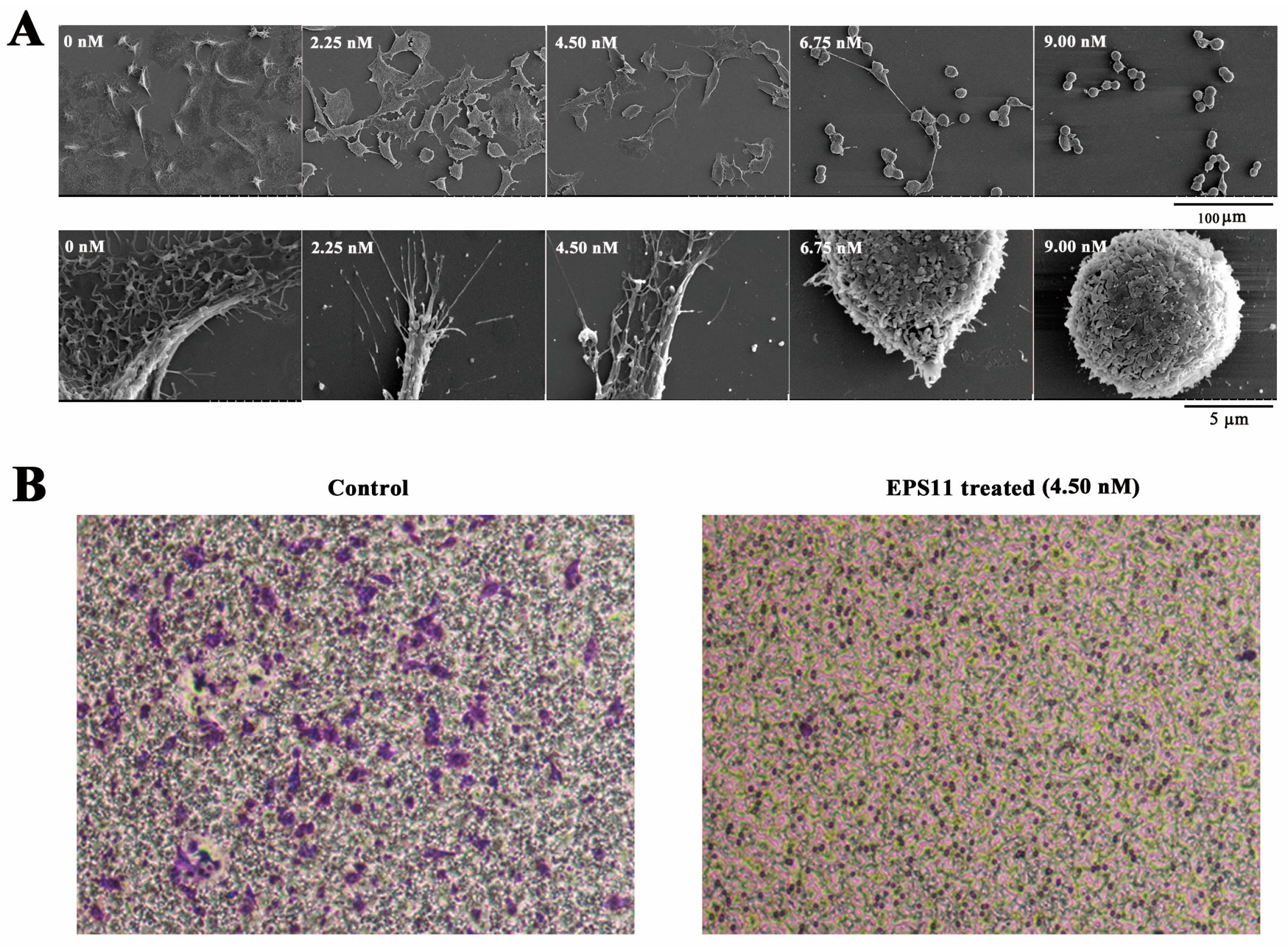 Marinedrugs 16 00085 g005