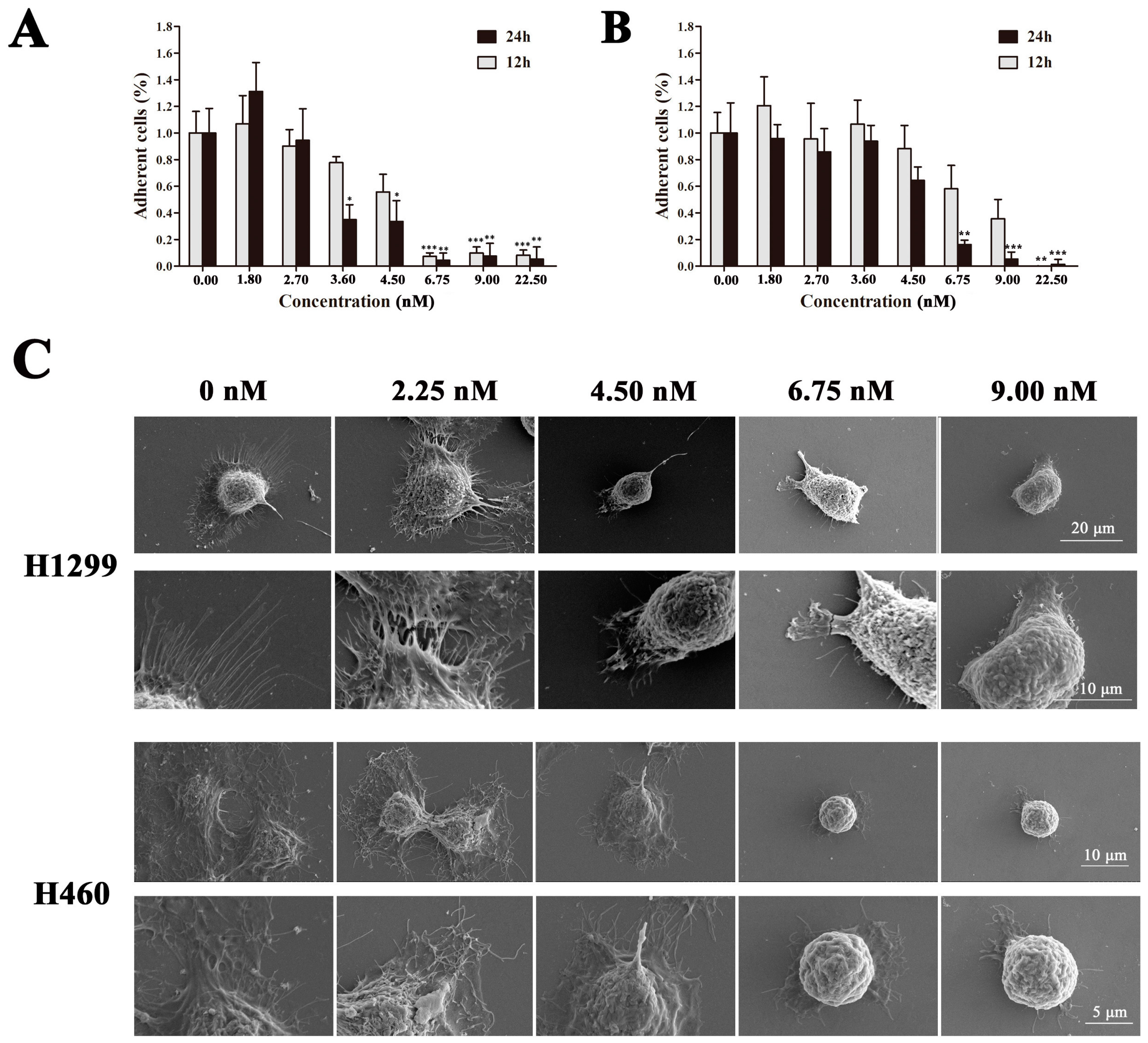 Marinedrugs 16 00085 g006