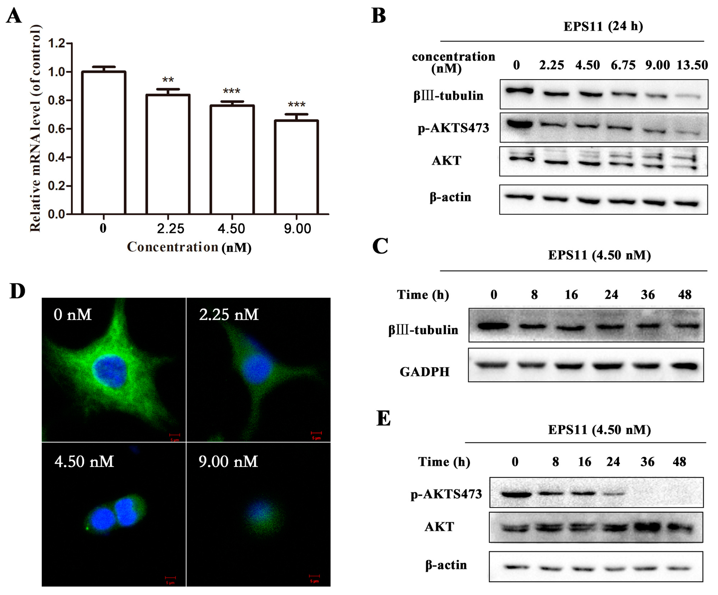 Marinedrugs 16 00085 g008