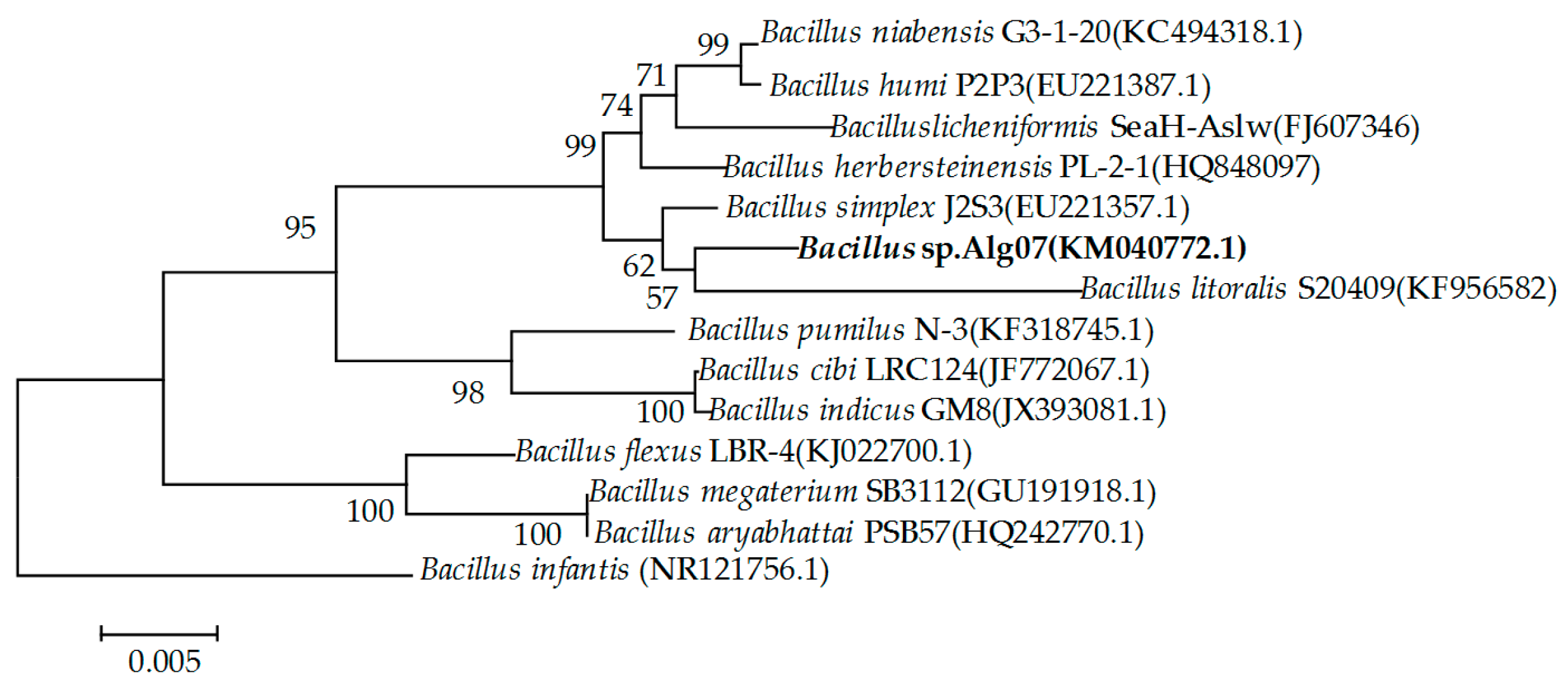 Marinedrugs 16 00086 g001