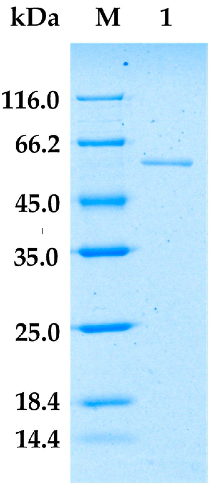 Marinedrugs 16 00086 g002