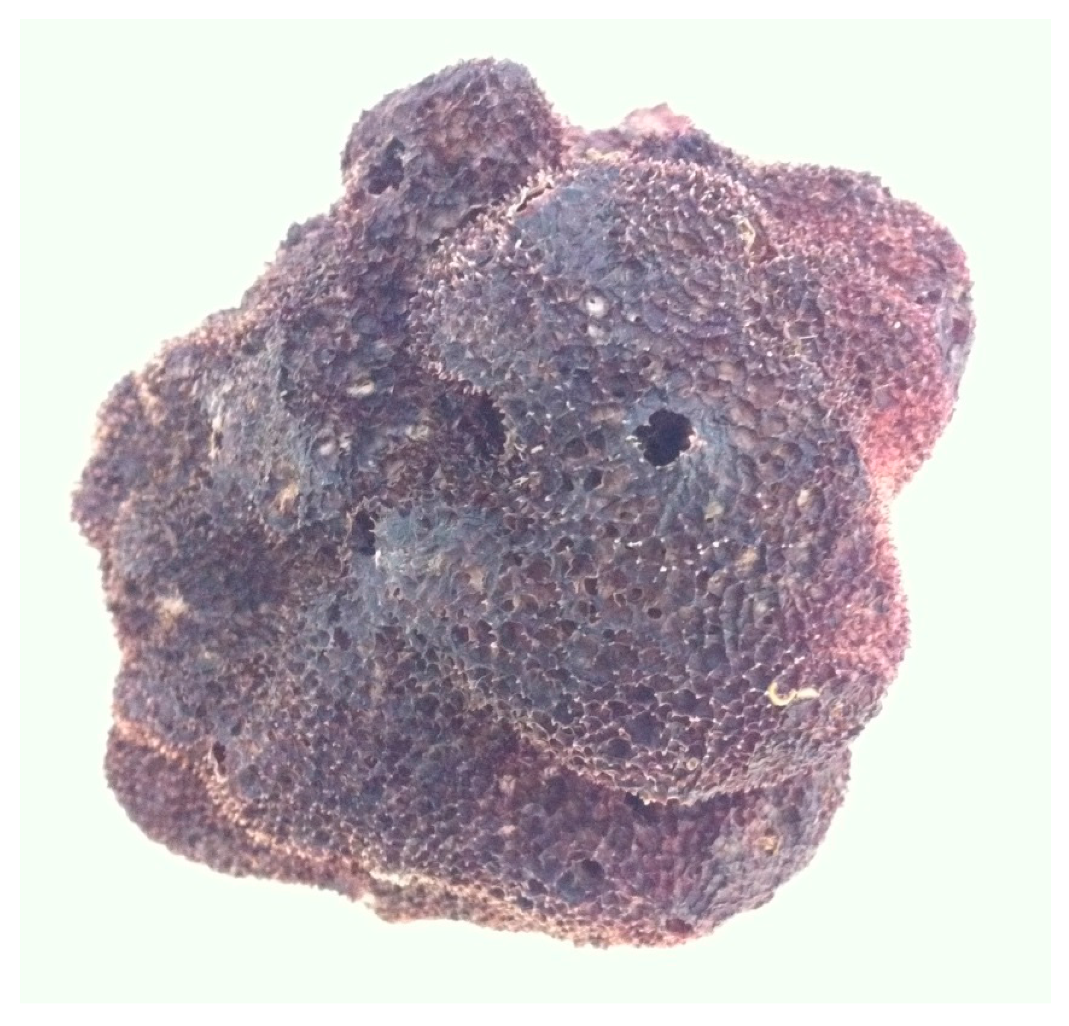 Marinedrugs 16 00088 g001 Marinedrugs 16 00088 g001