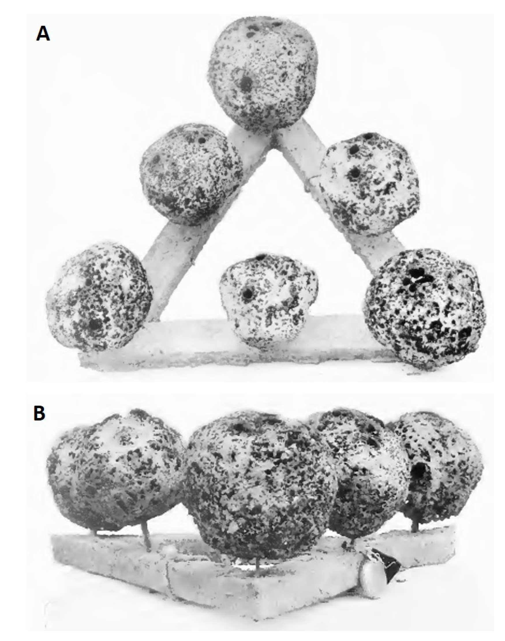 Marinedrugs 16 00088 g005 Marinedrugs 16 00088 g005