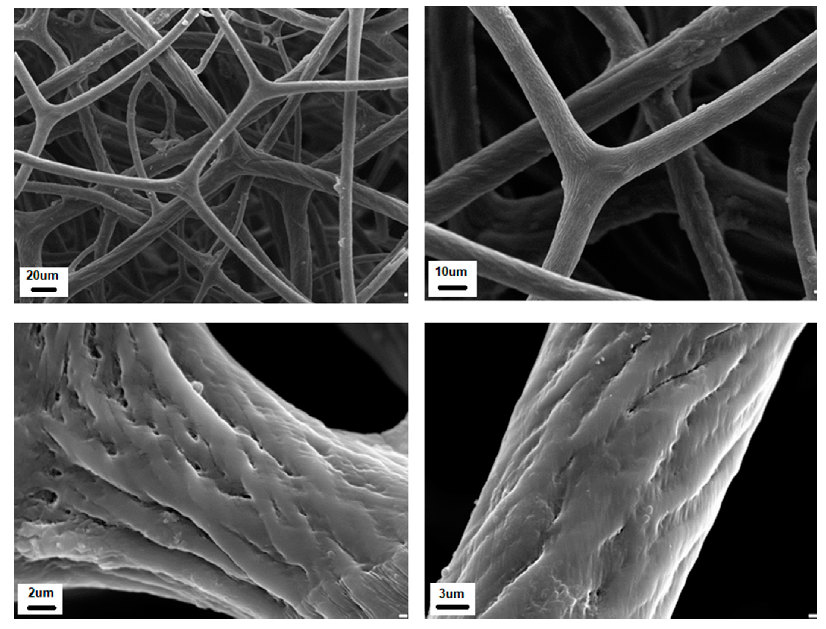 Marinedrugs 16 00088 g007 Marinedrugs 16 00088 g007