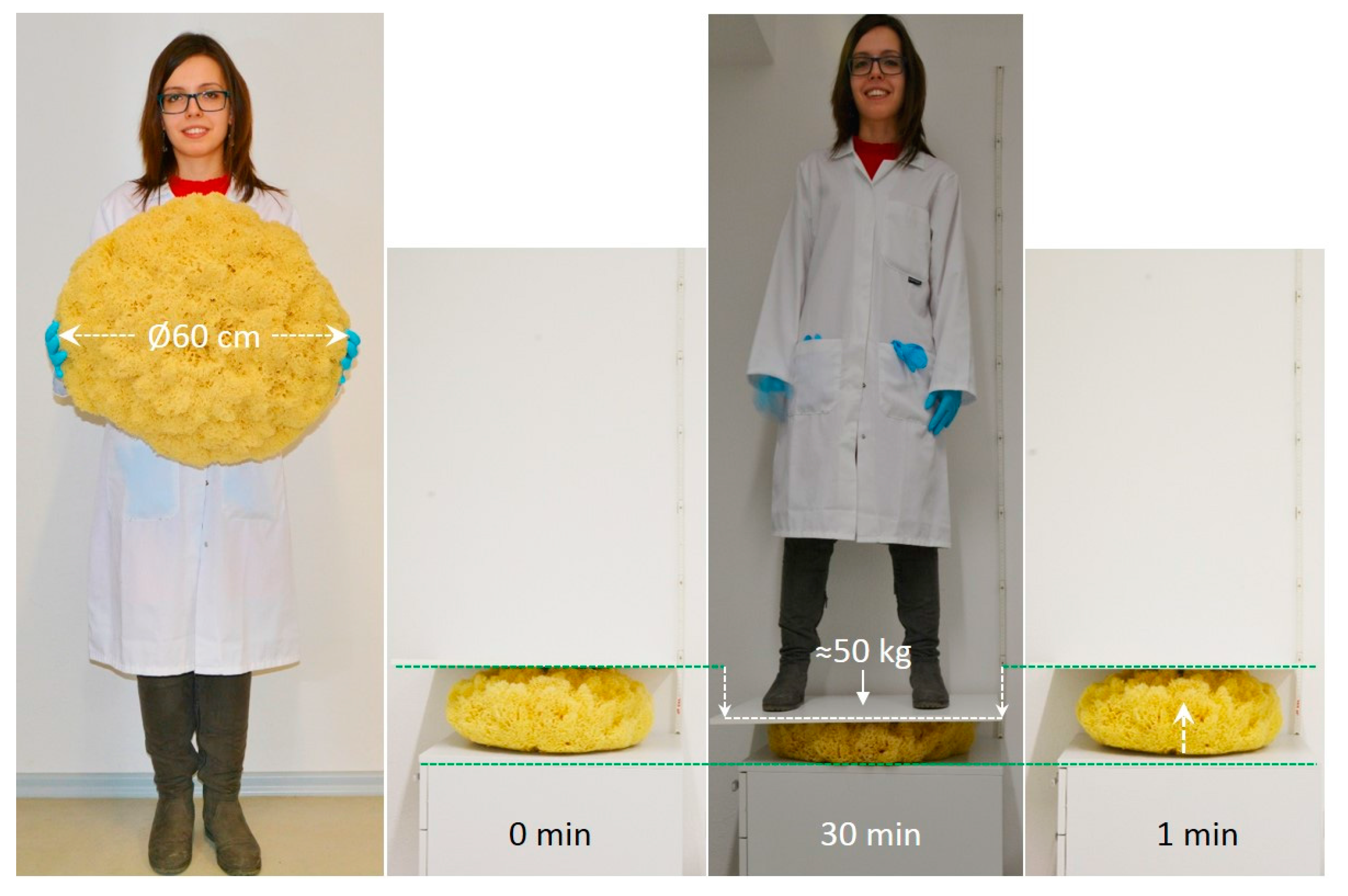 Marinedrugs 16 00088 g010 Marinedrugs 16 00088 g010