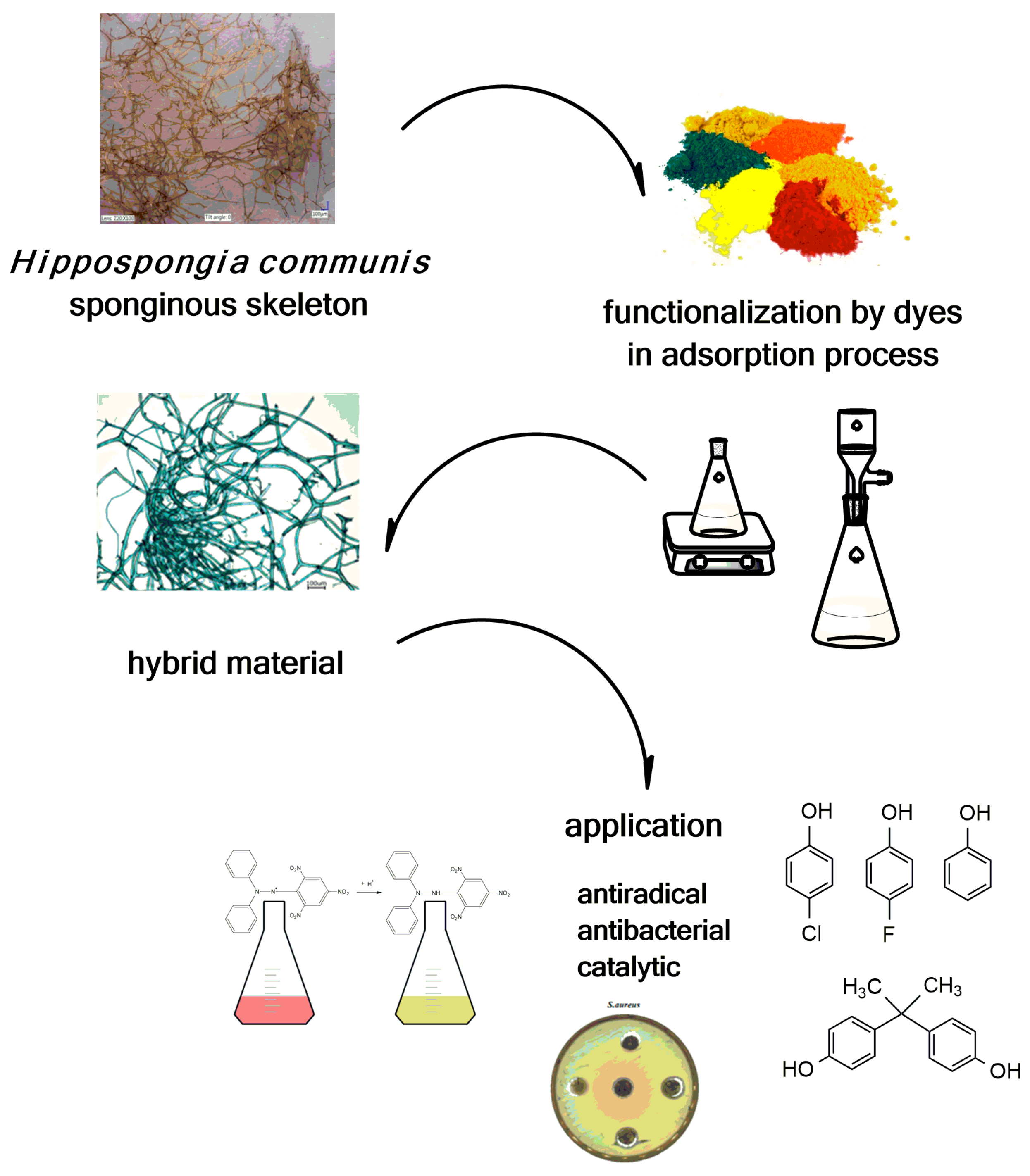 Marinedrugs 16 00088 g011 Marinedrugs 16 00088 g011