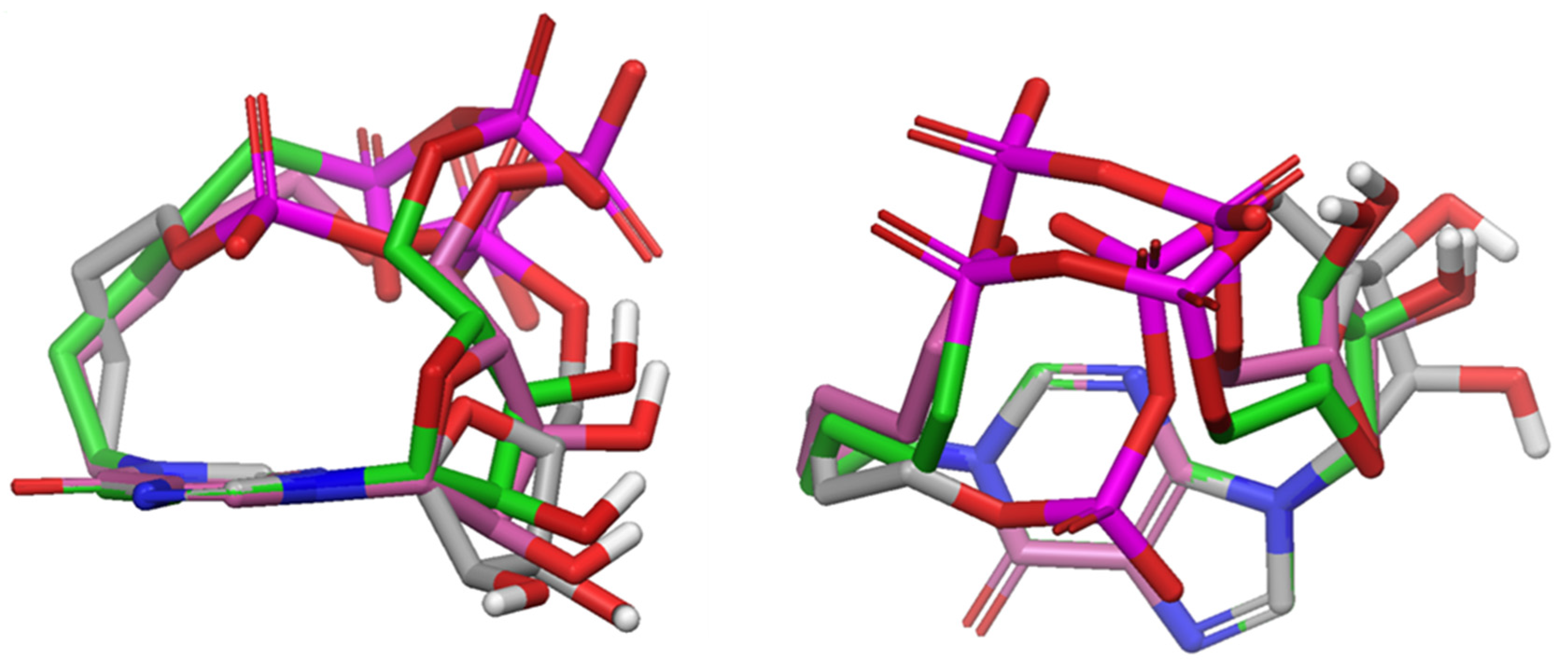 Marinedrugs 16 00089 g003 Marinedrugs 16 00089 g003