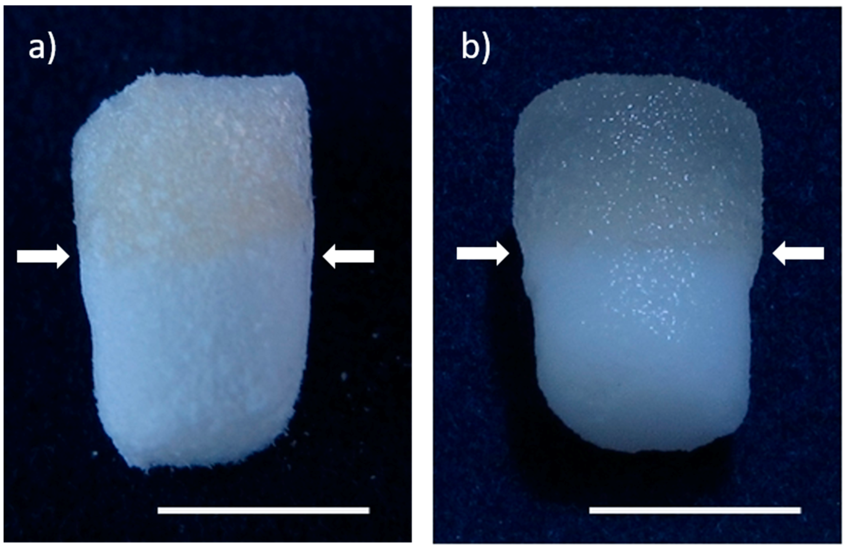 Marinedrugs 16 00091 g001