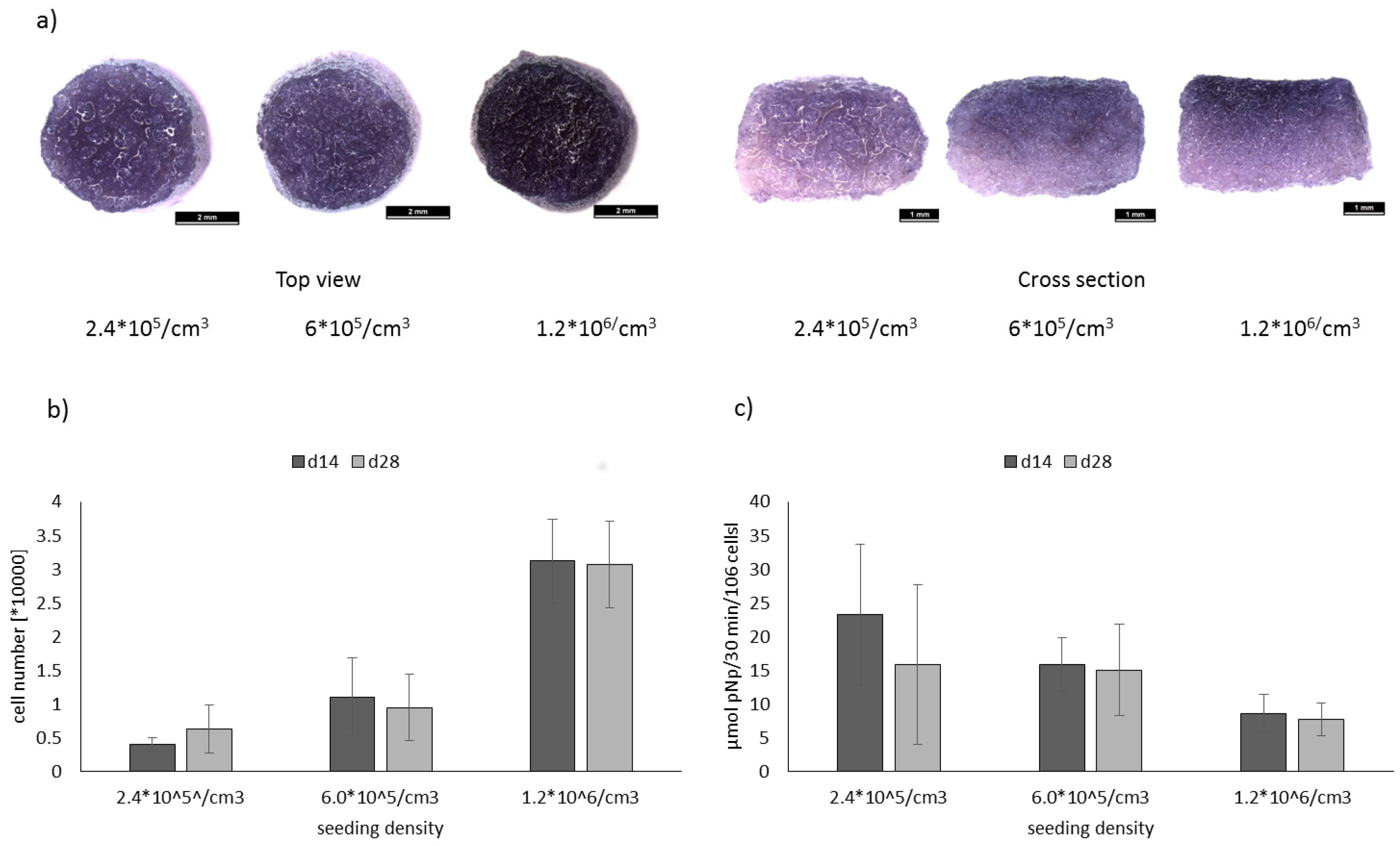 Marinedrugs 16 00091 g003