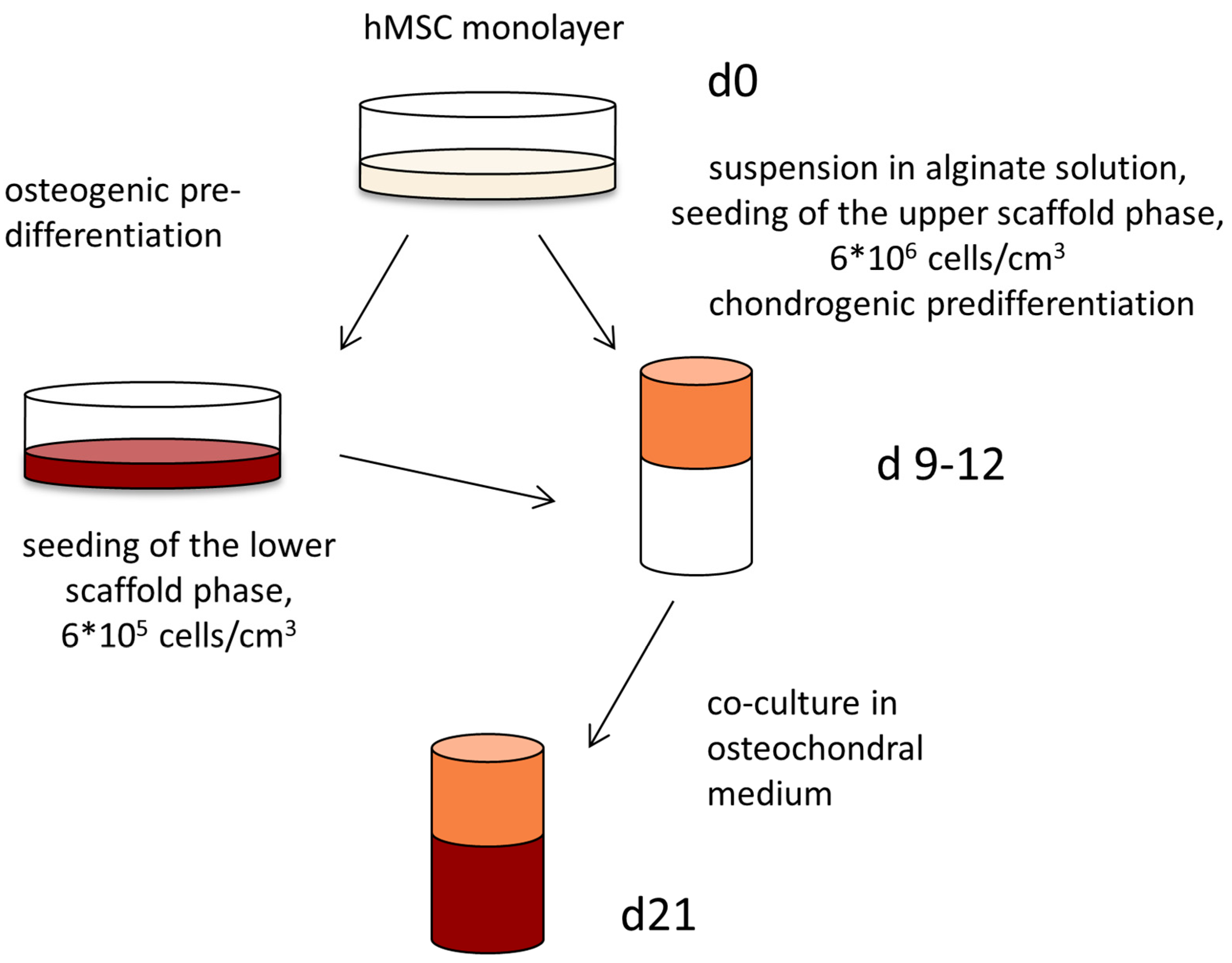 Marinedrugs 16 00091 g005
