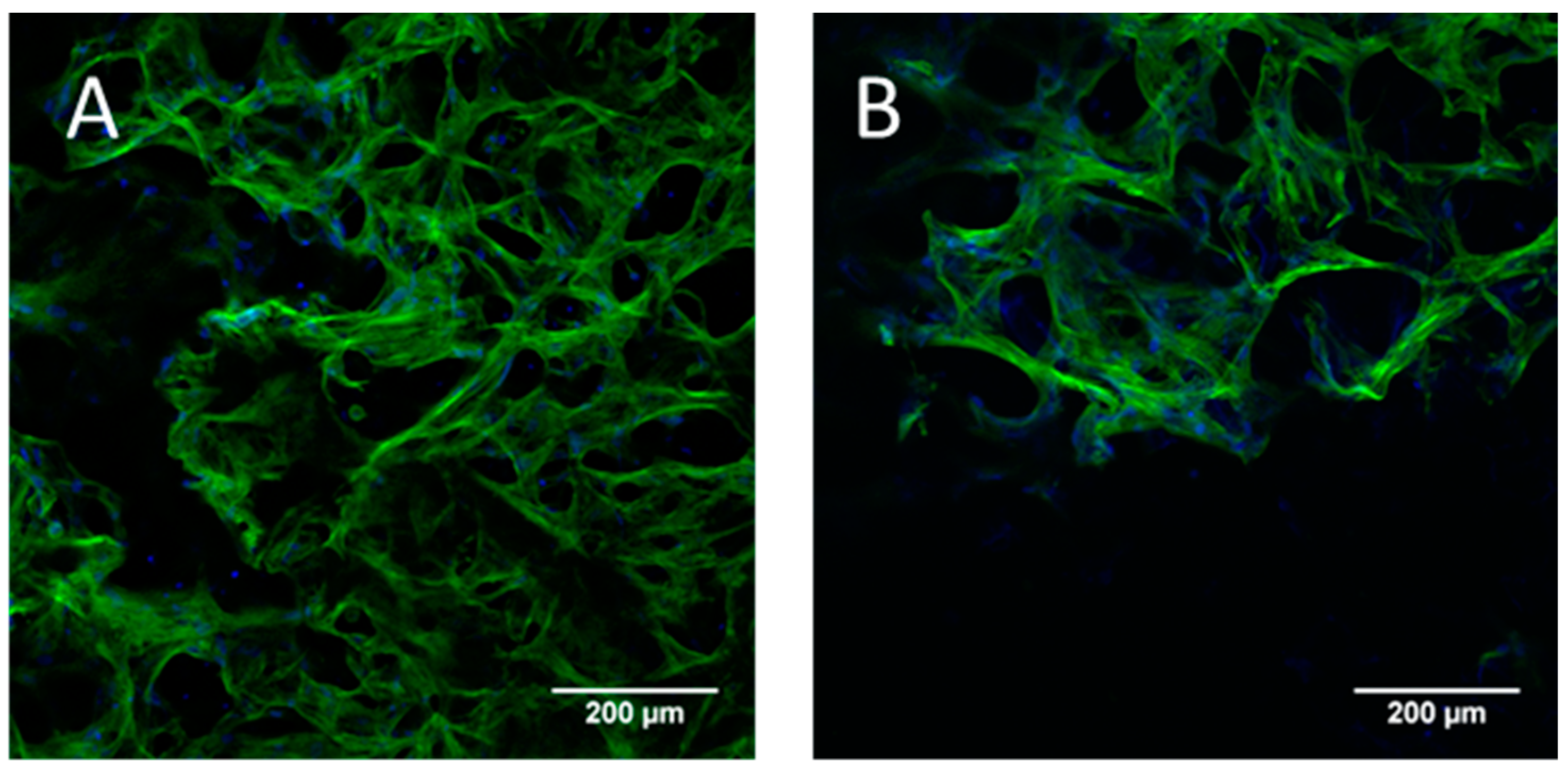 Marinedrugs 16 00091 g007