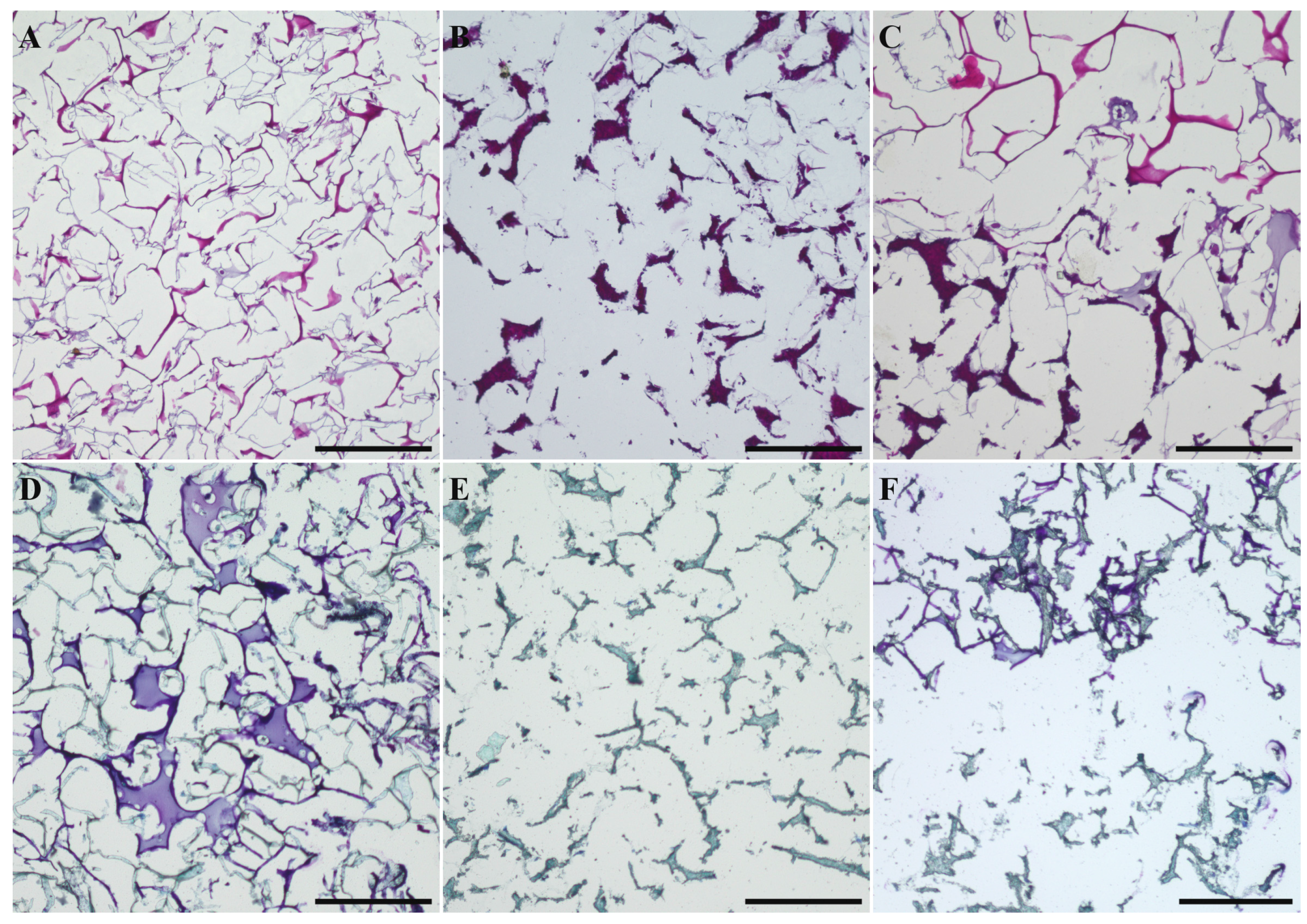 Marinedrugs 16 00091 g008