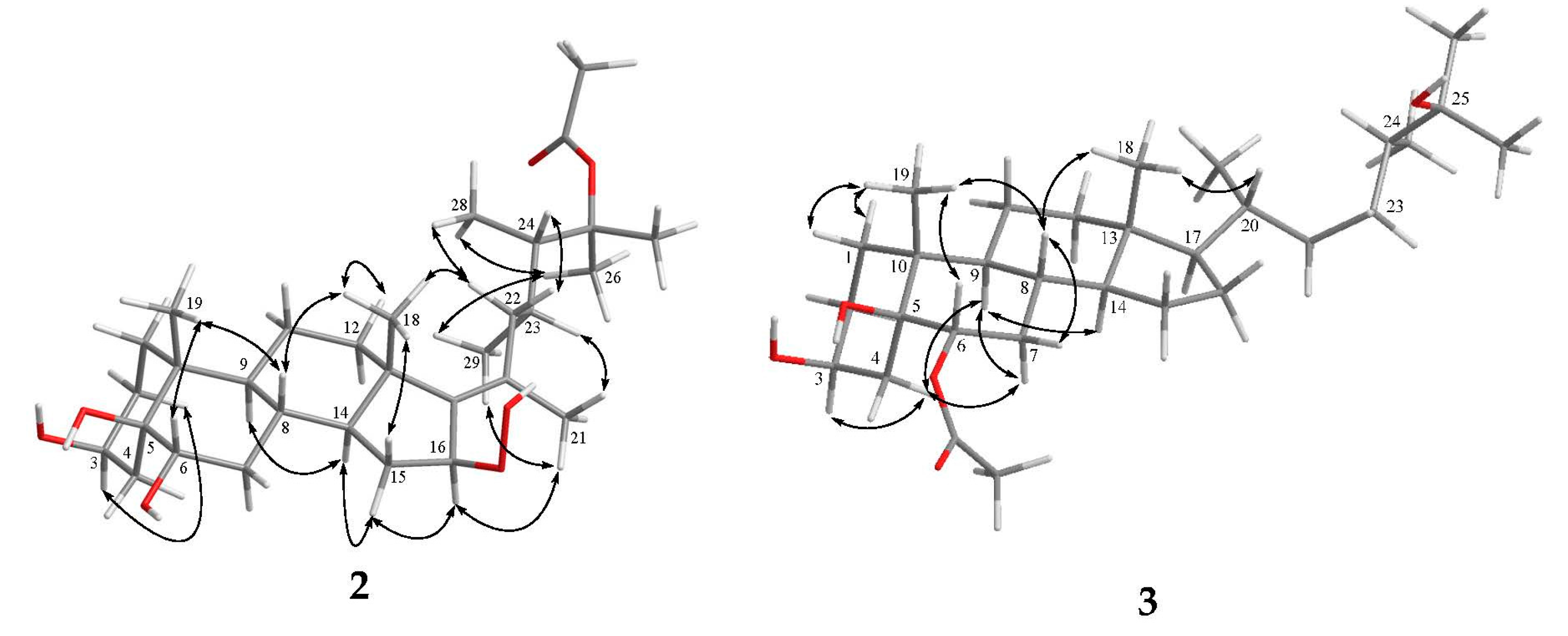 Marinedrugs 16 00093 g005