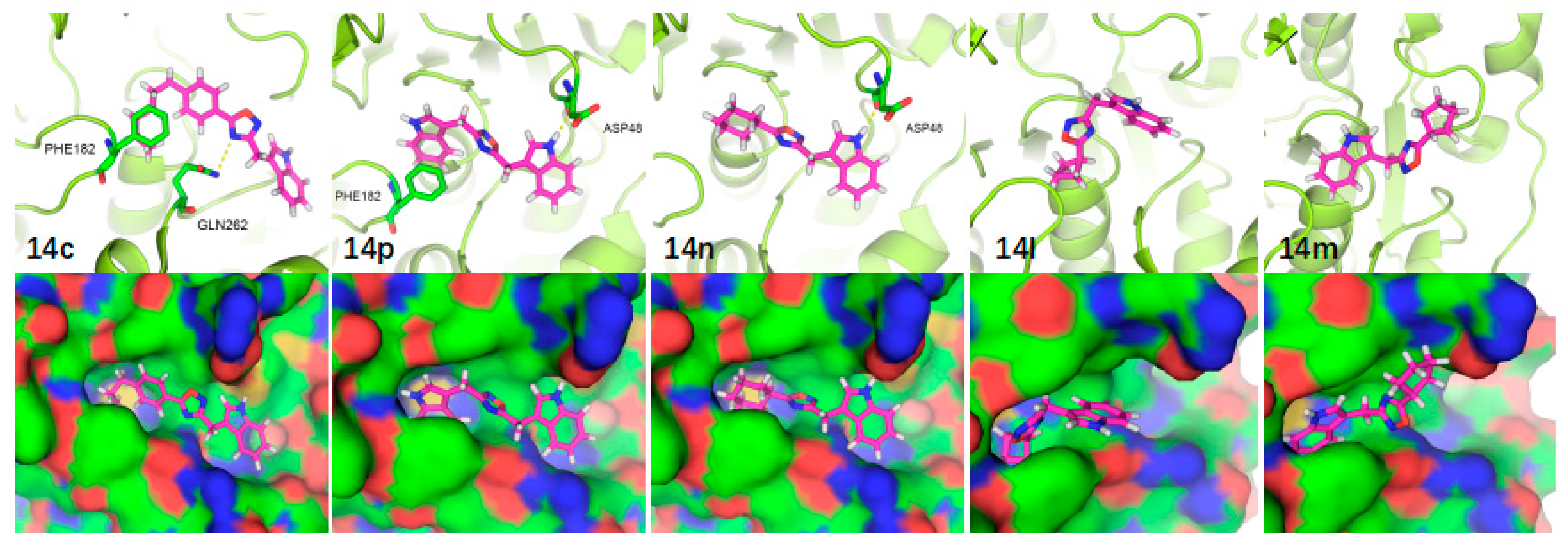 Marinedrugs 16 00097 g002