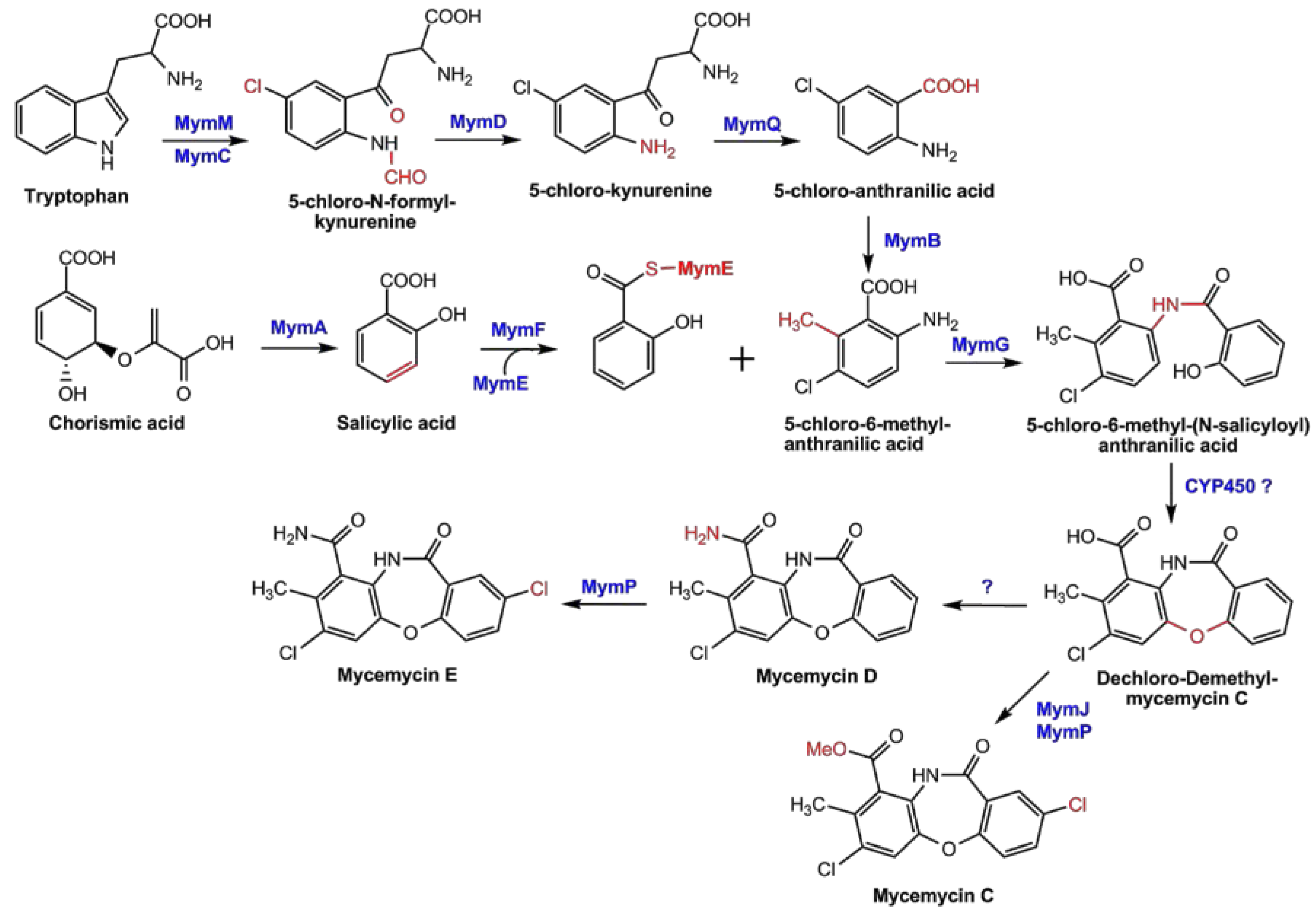 Marinedrugs 16 00098 g006