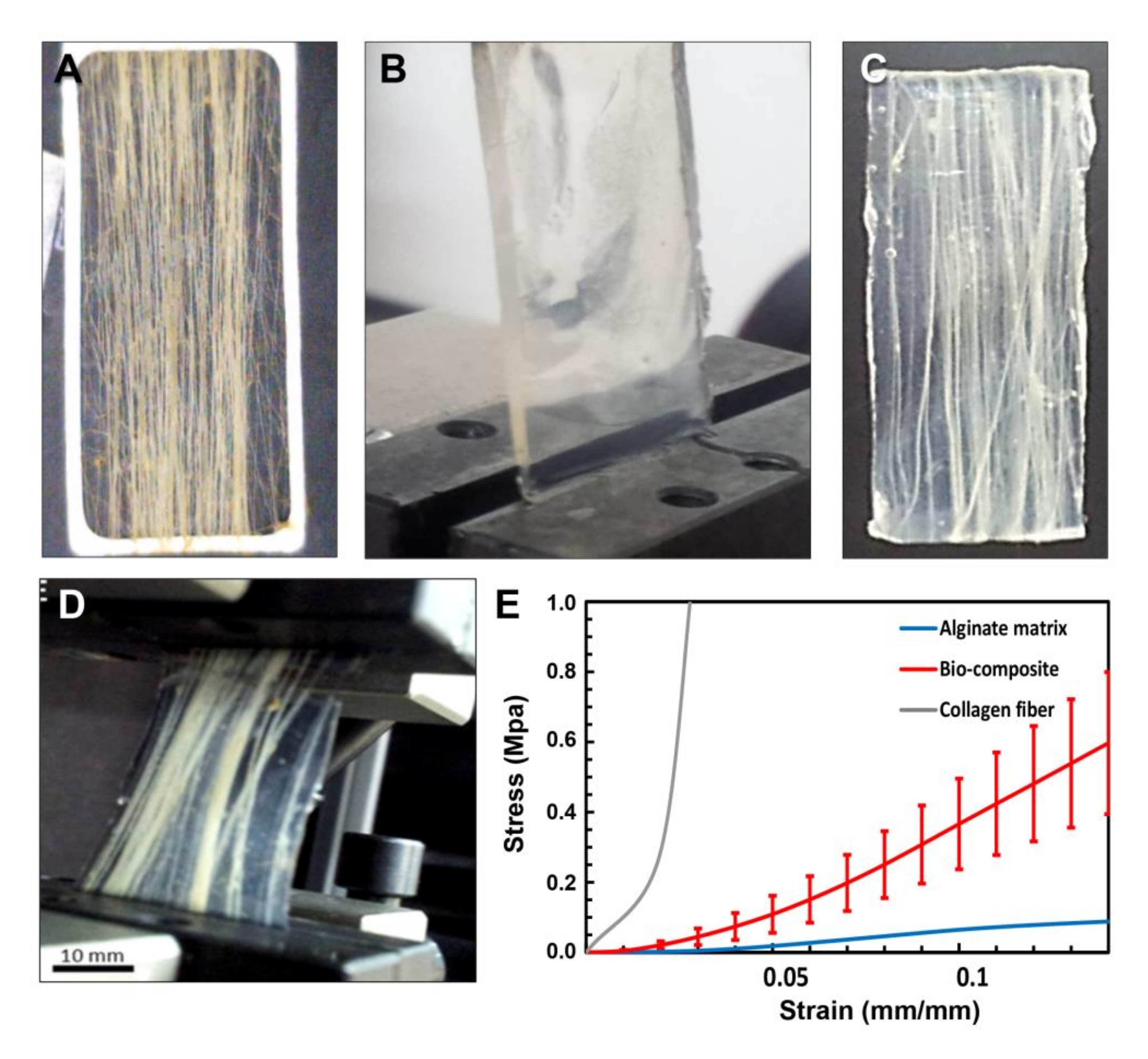 Marinedrugs 16 00102 g002