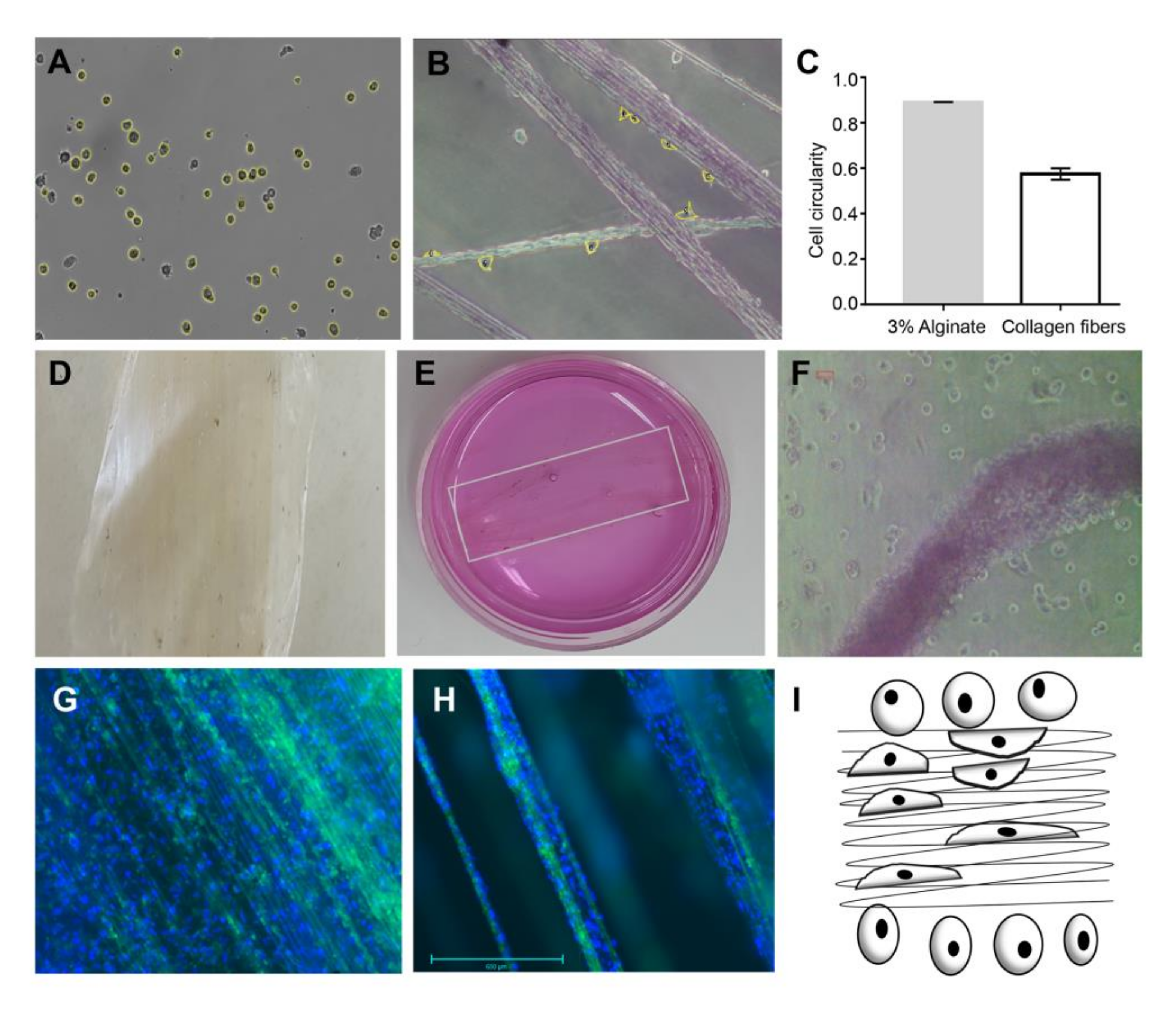 Marinedrugs 16 00102 g003