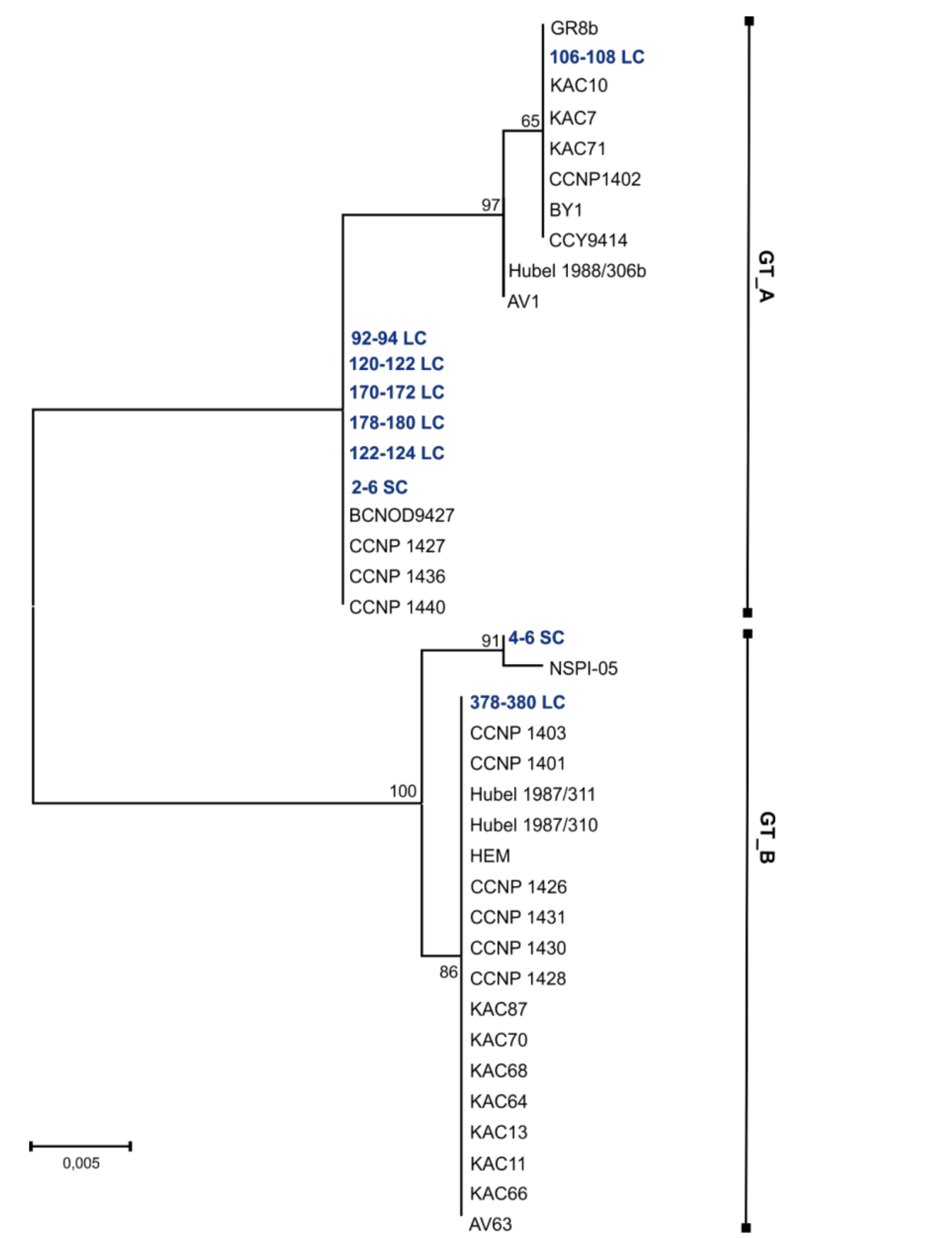 Marinedrugs 16 00116 g003 Marinedrugs 16 00116 g003