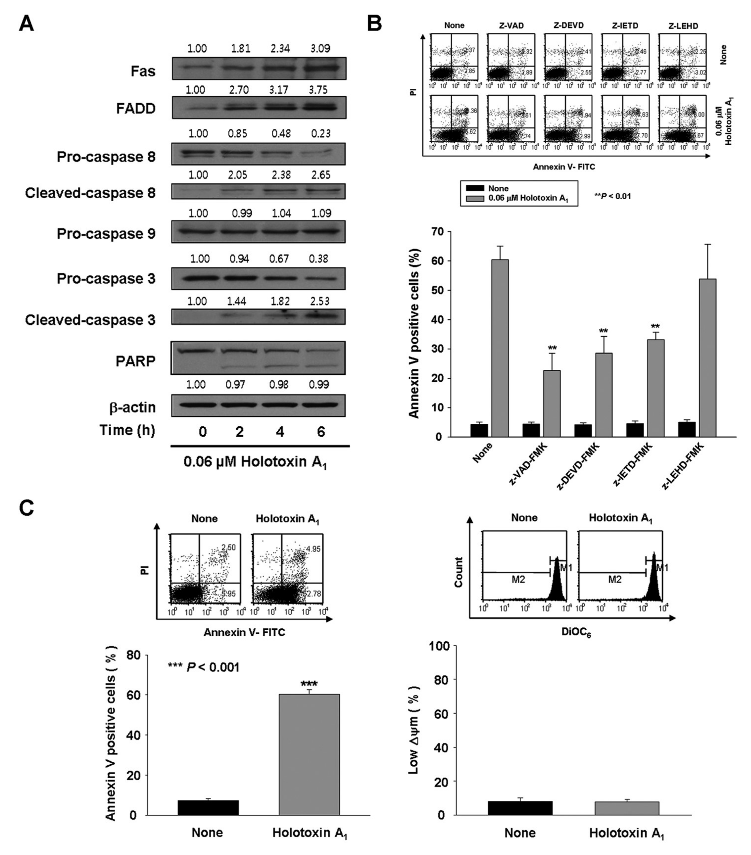 Marinedrugs 16 00123 g002a