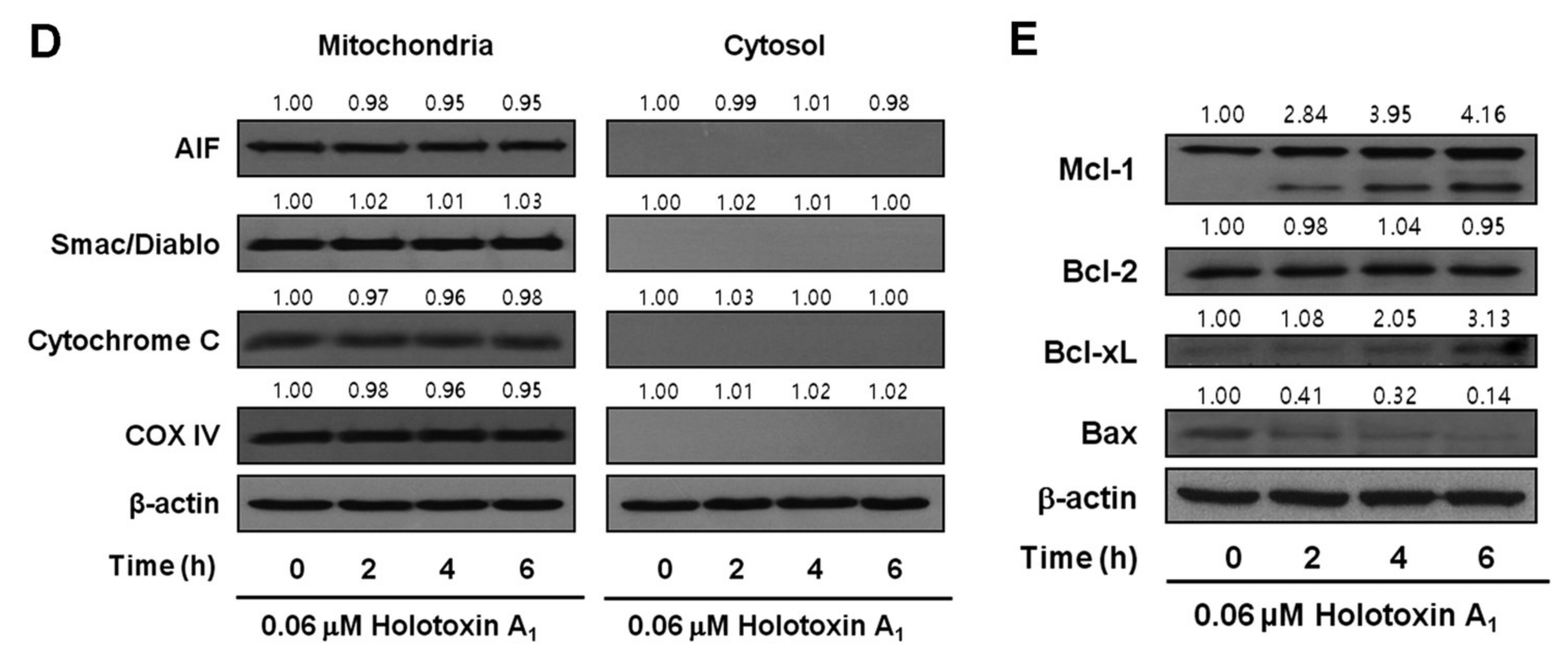 Marinedrugs 16 00123 g002b