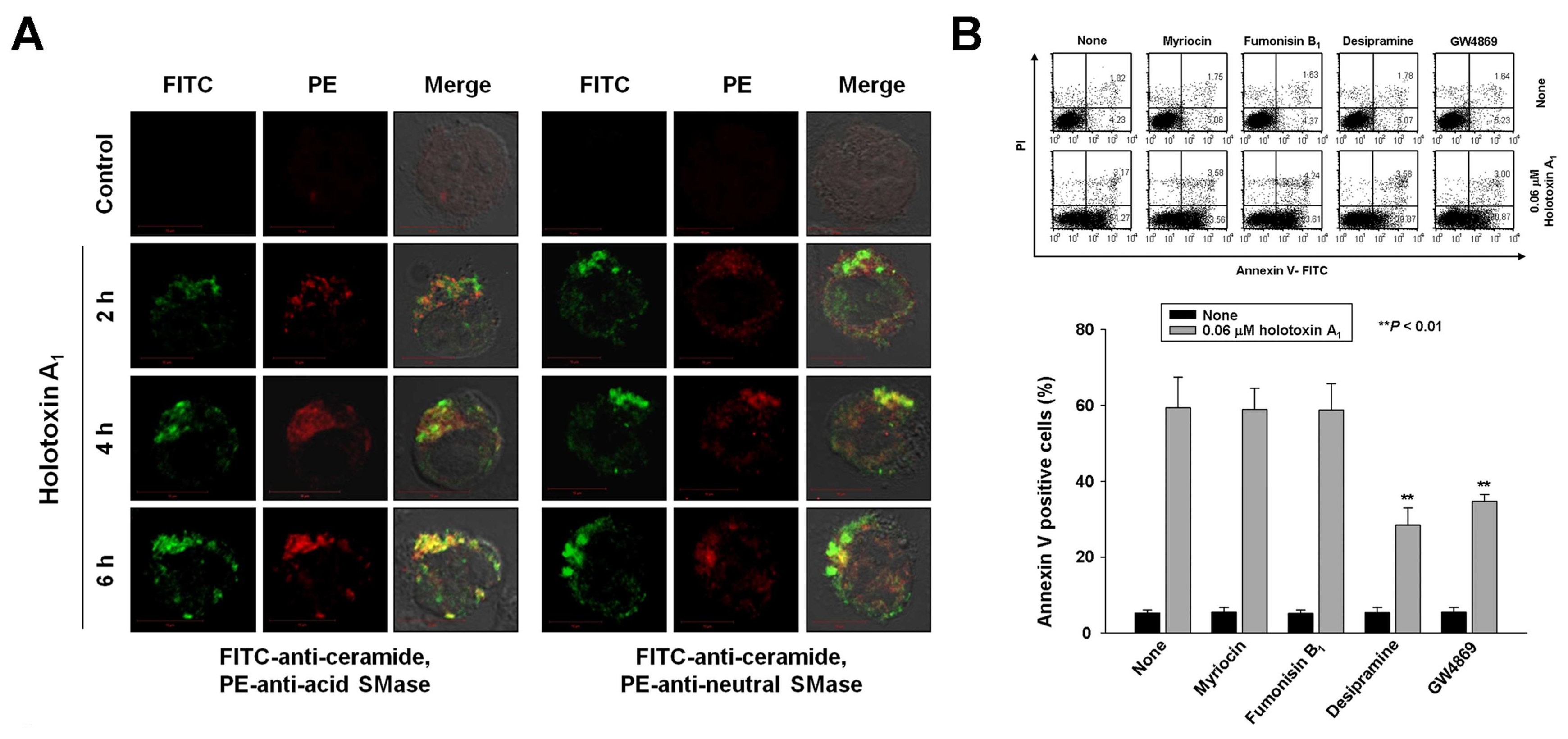 Marinedrugs 16 00123 g003a