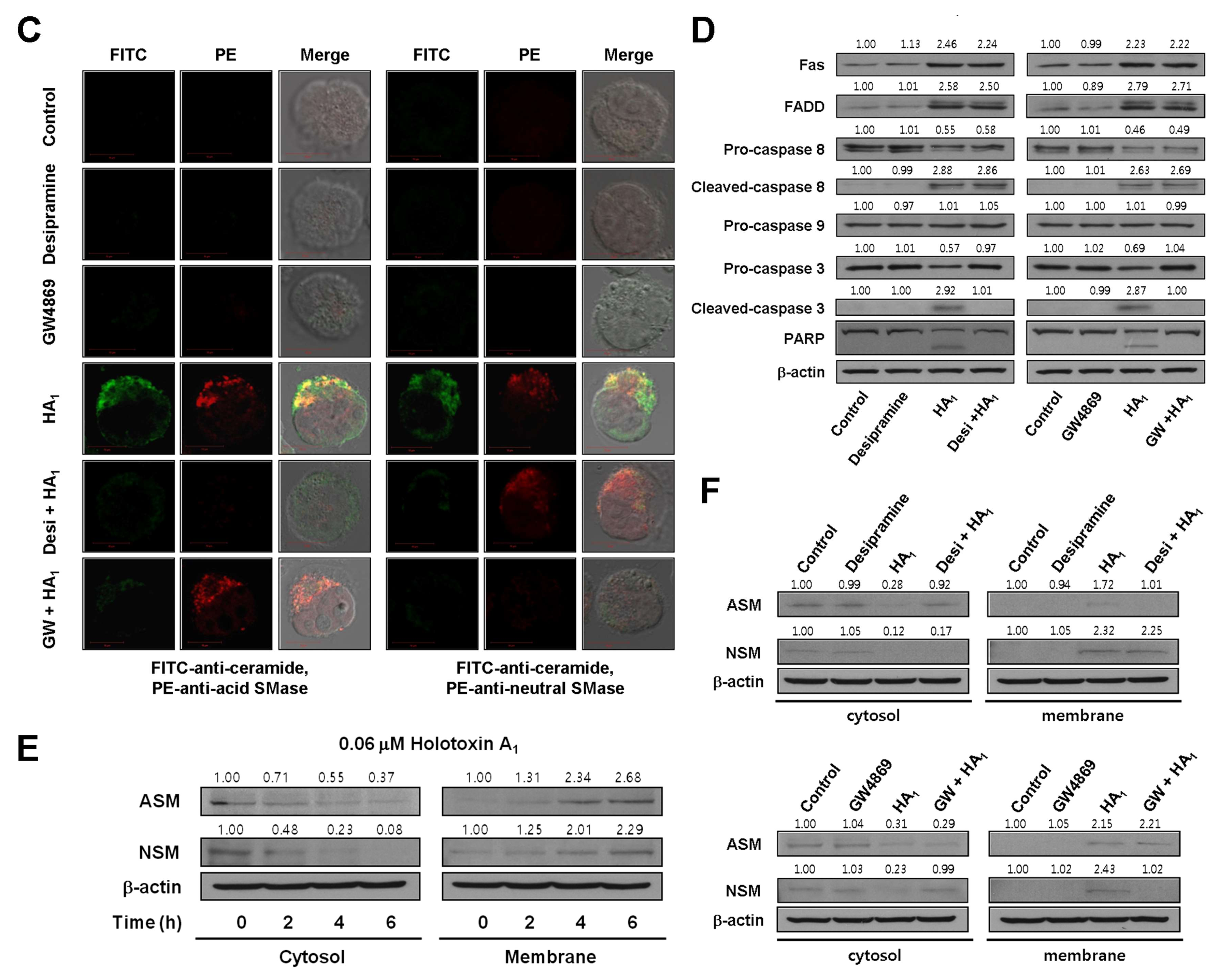 Marinedrugs 16 00123 g003b