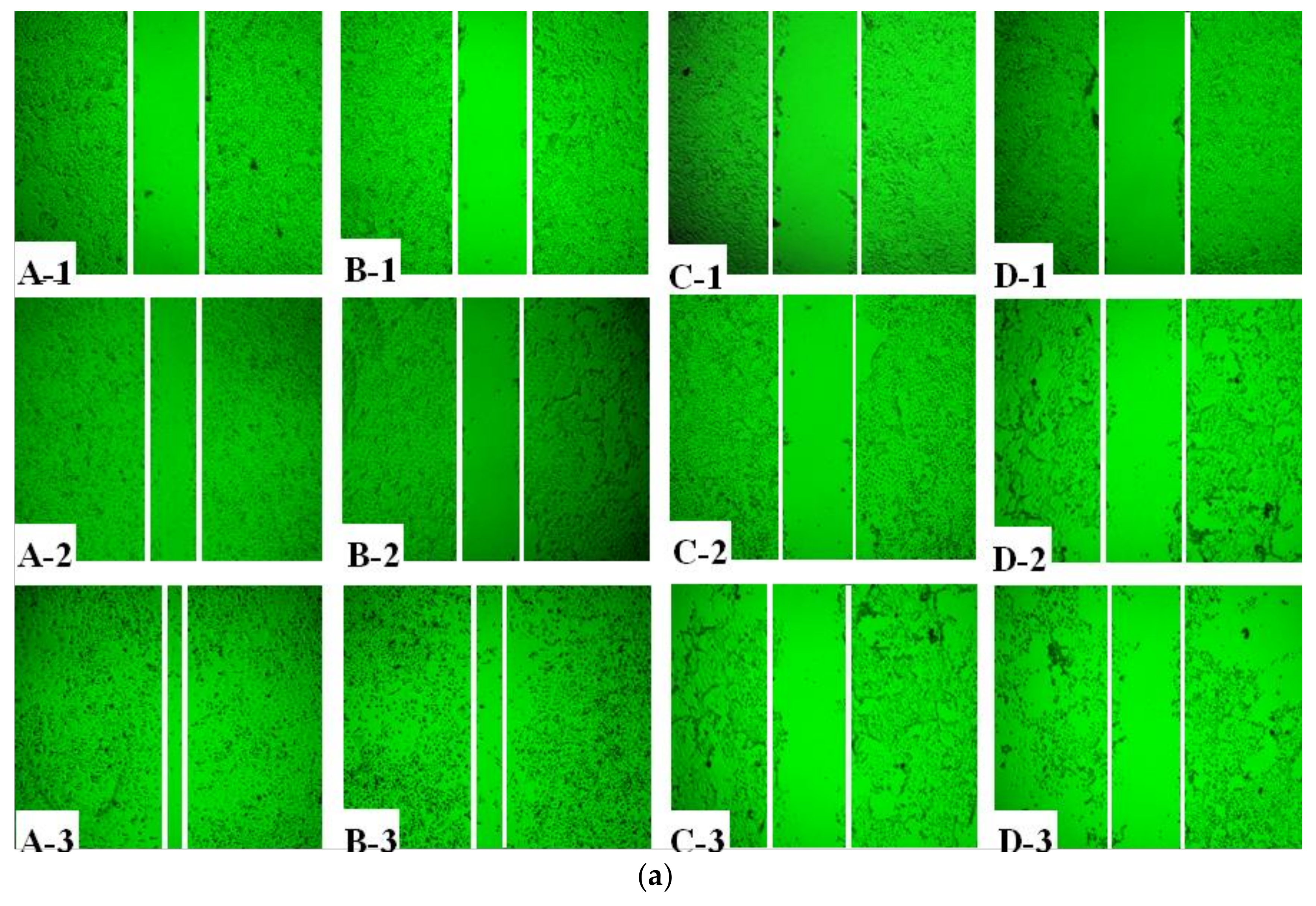 Marinedrugs 16 00125 g002a