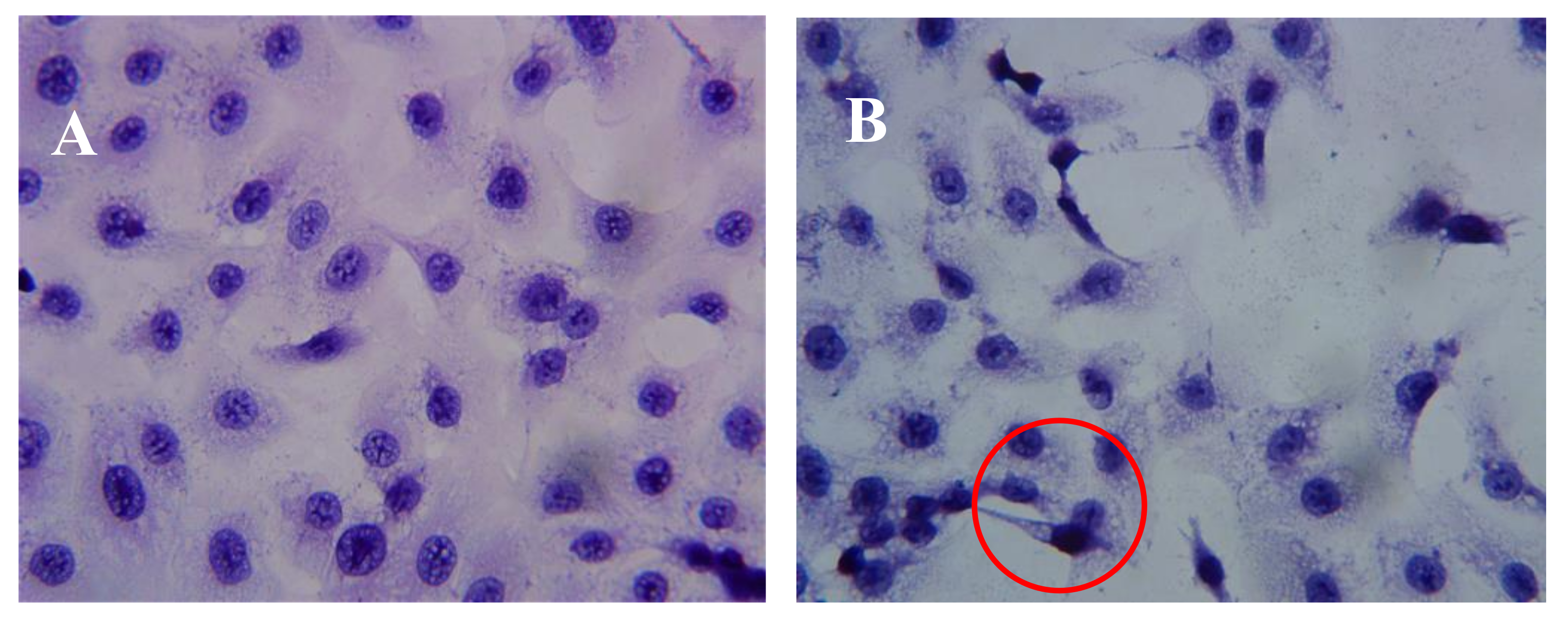 Marinedrugs 16 00125 g003a