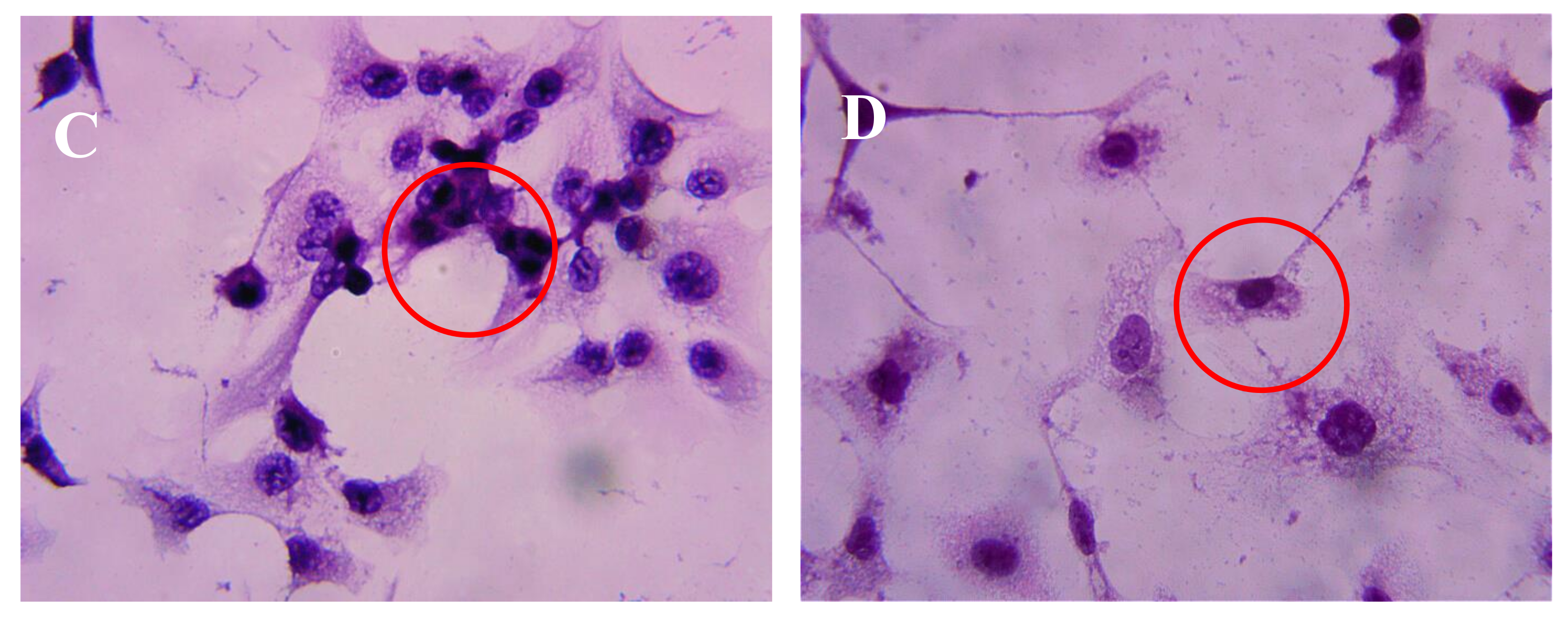 Marinedrugs 16 00125 g003b