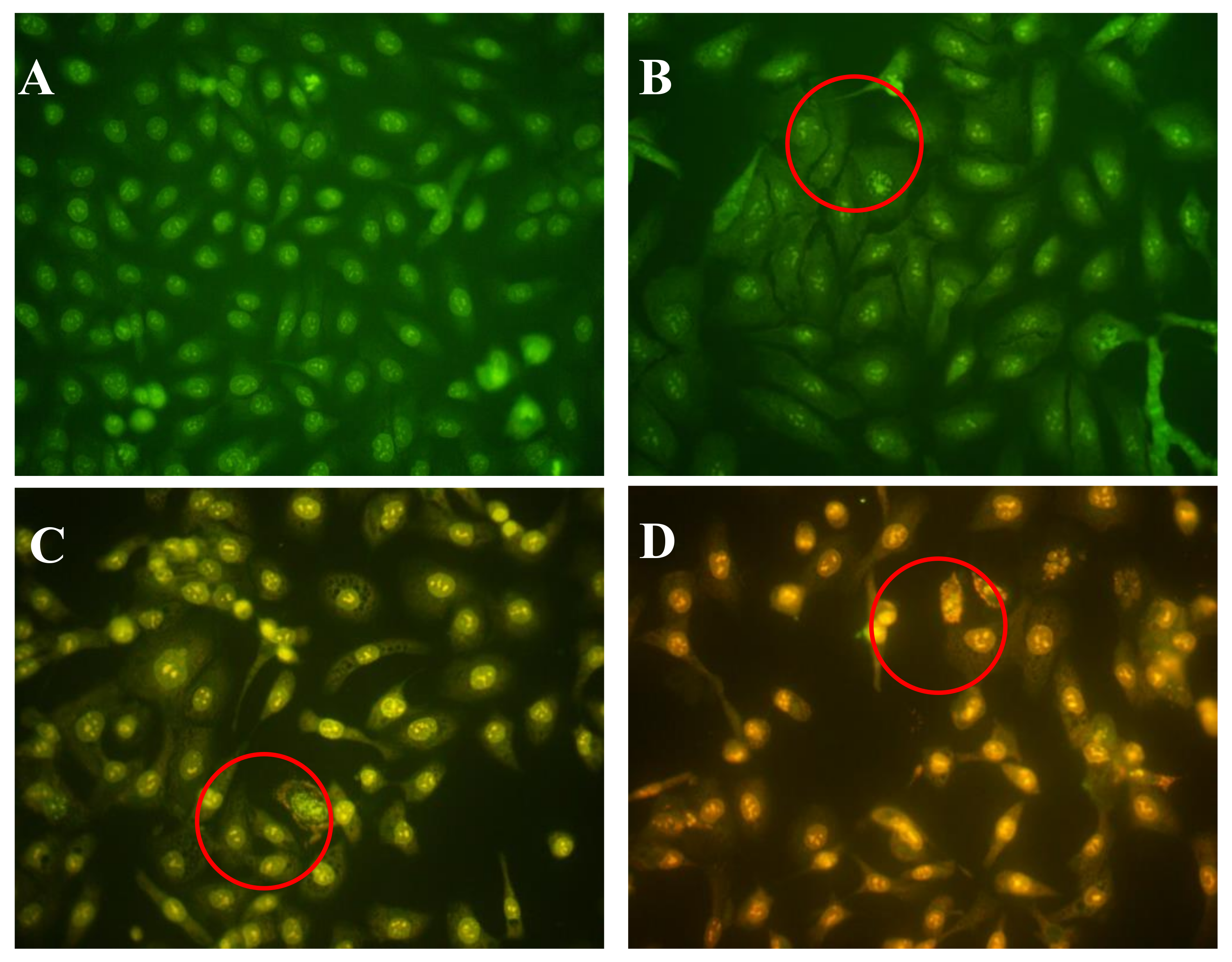 Marinedrugs 16 00125 g004