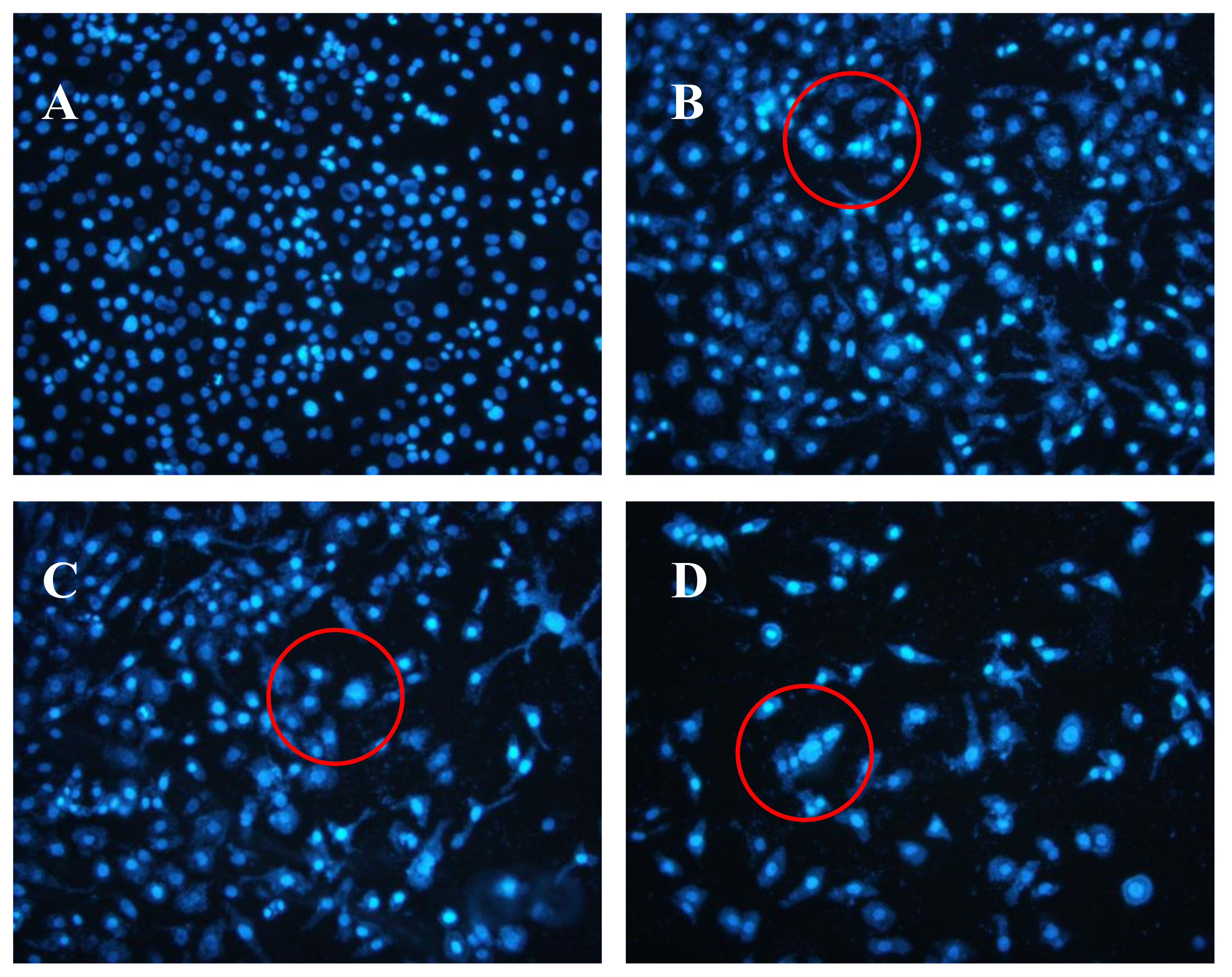 Marinedrugs 16 00125 g005