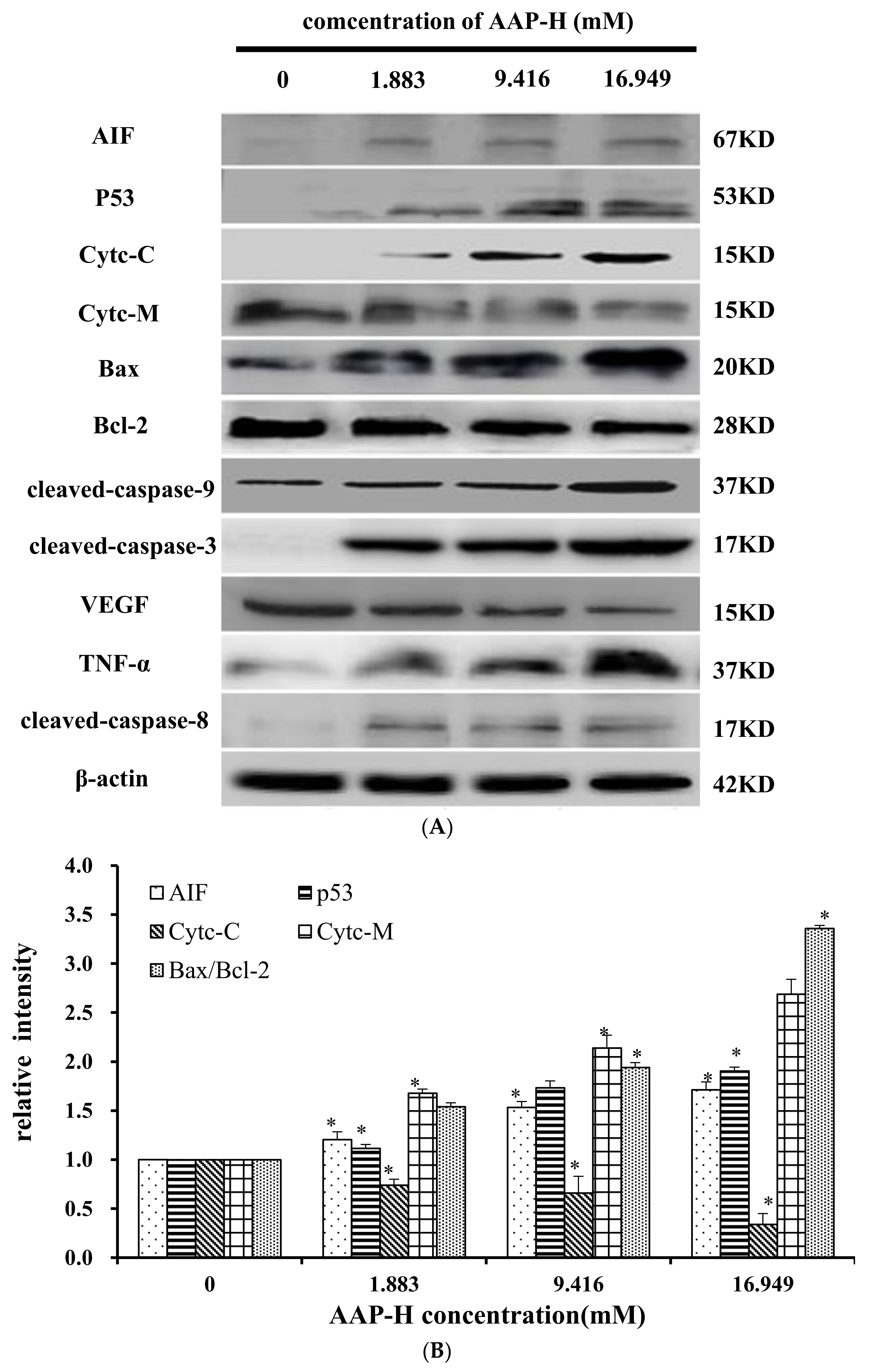 Marinedrugs 16 00125 g009a