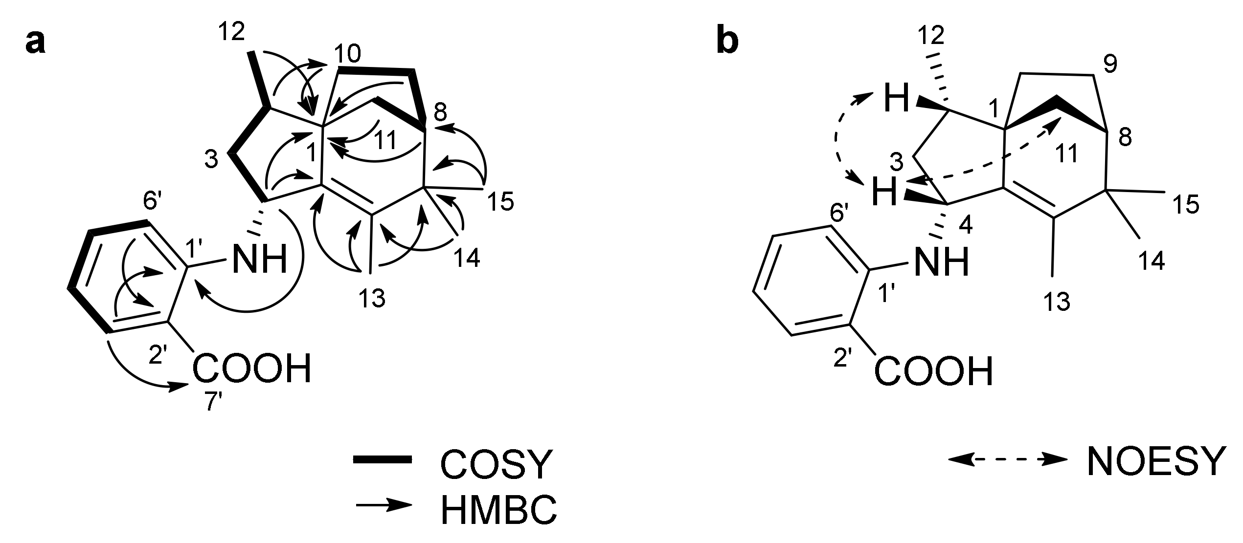 Marinedrugs 16 00130 g002