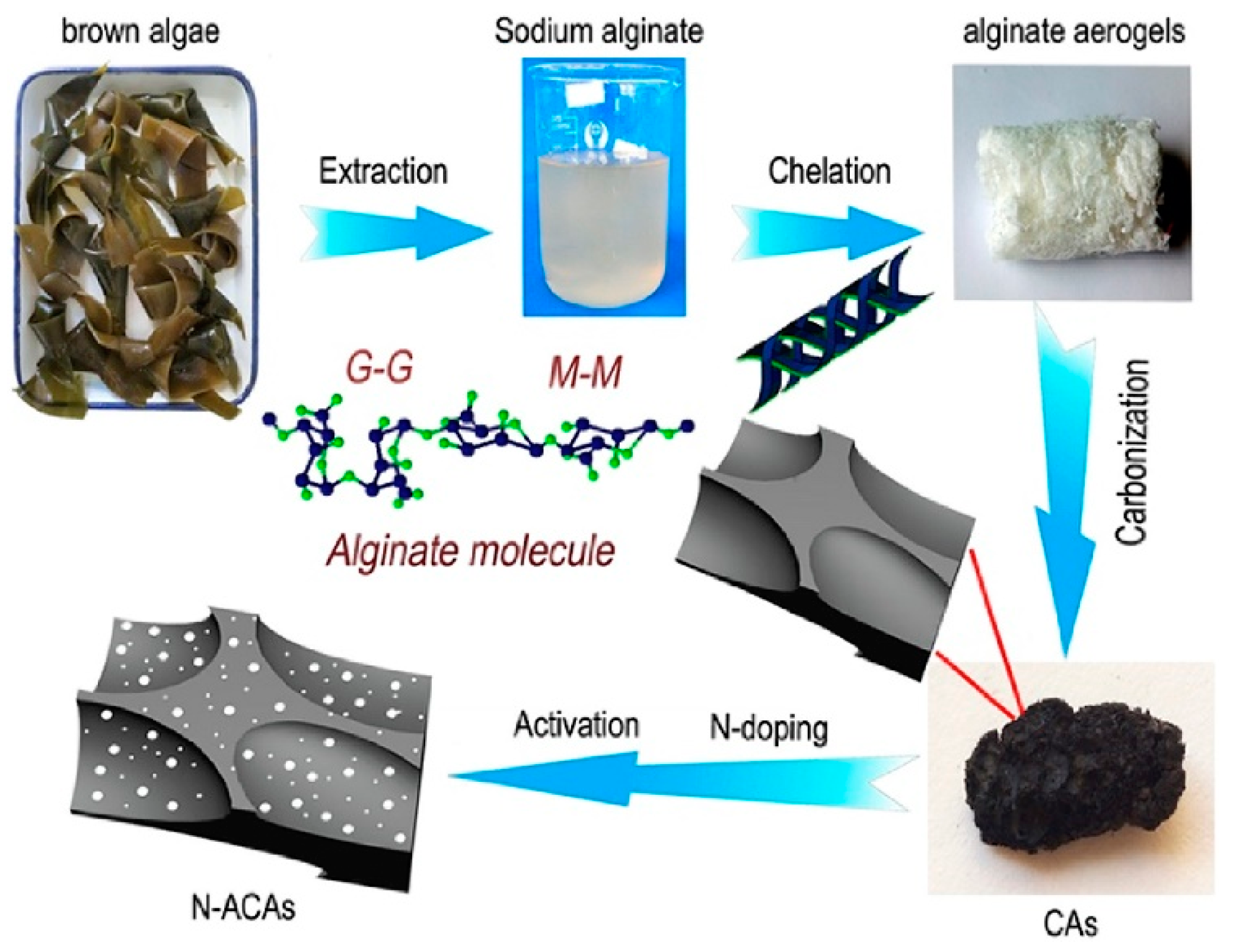 Marinedrugs 16 00142 g003