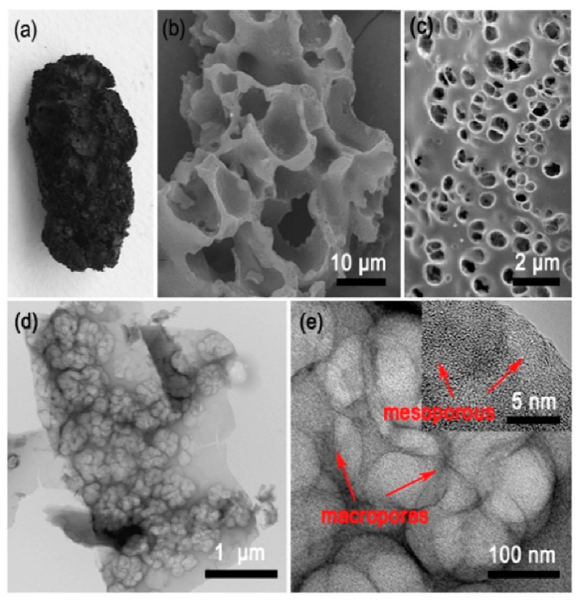 Marinedrugs 16 00142 g004