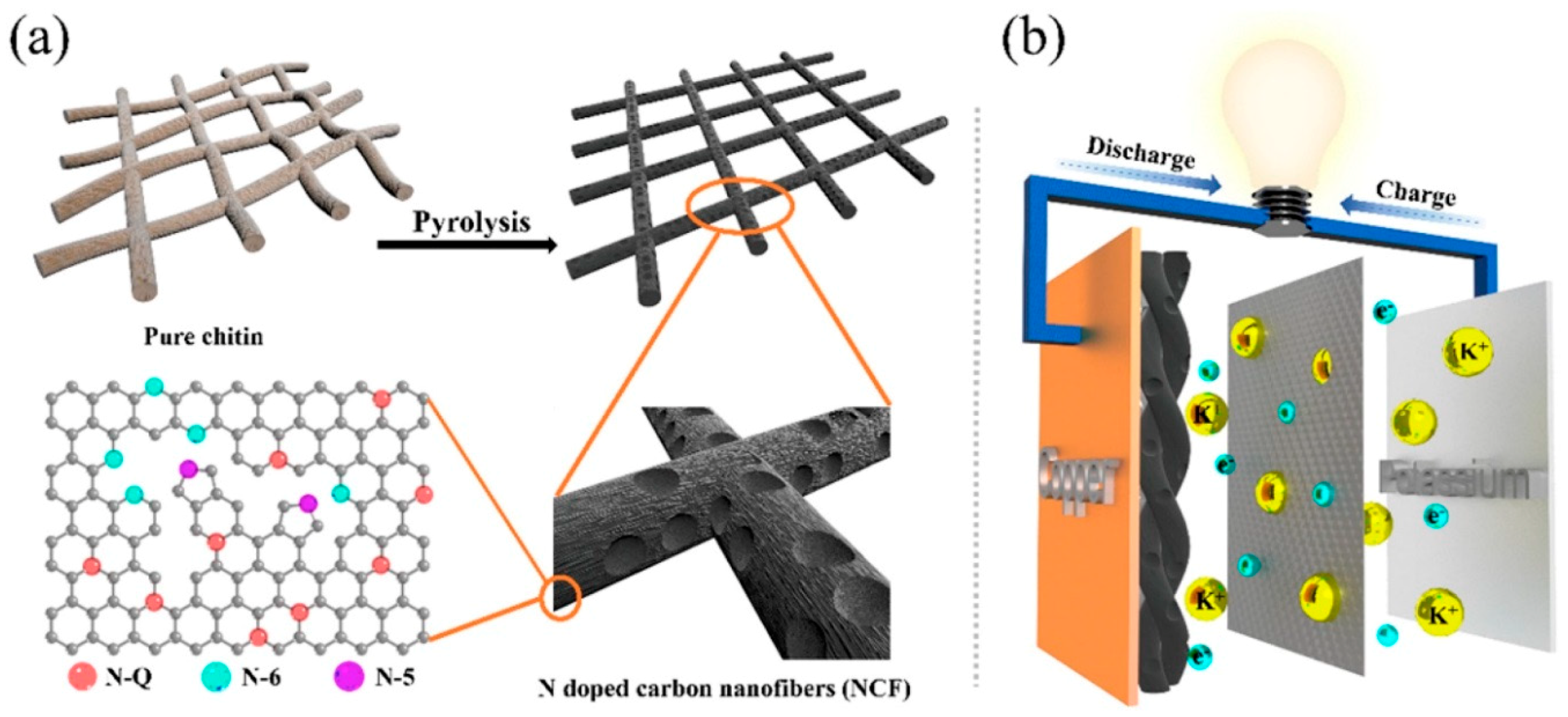 Marinedrugs 16 00142 g006