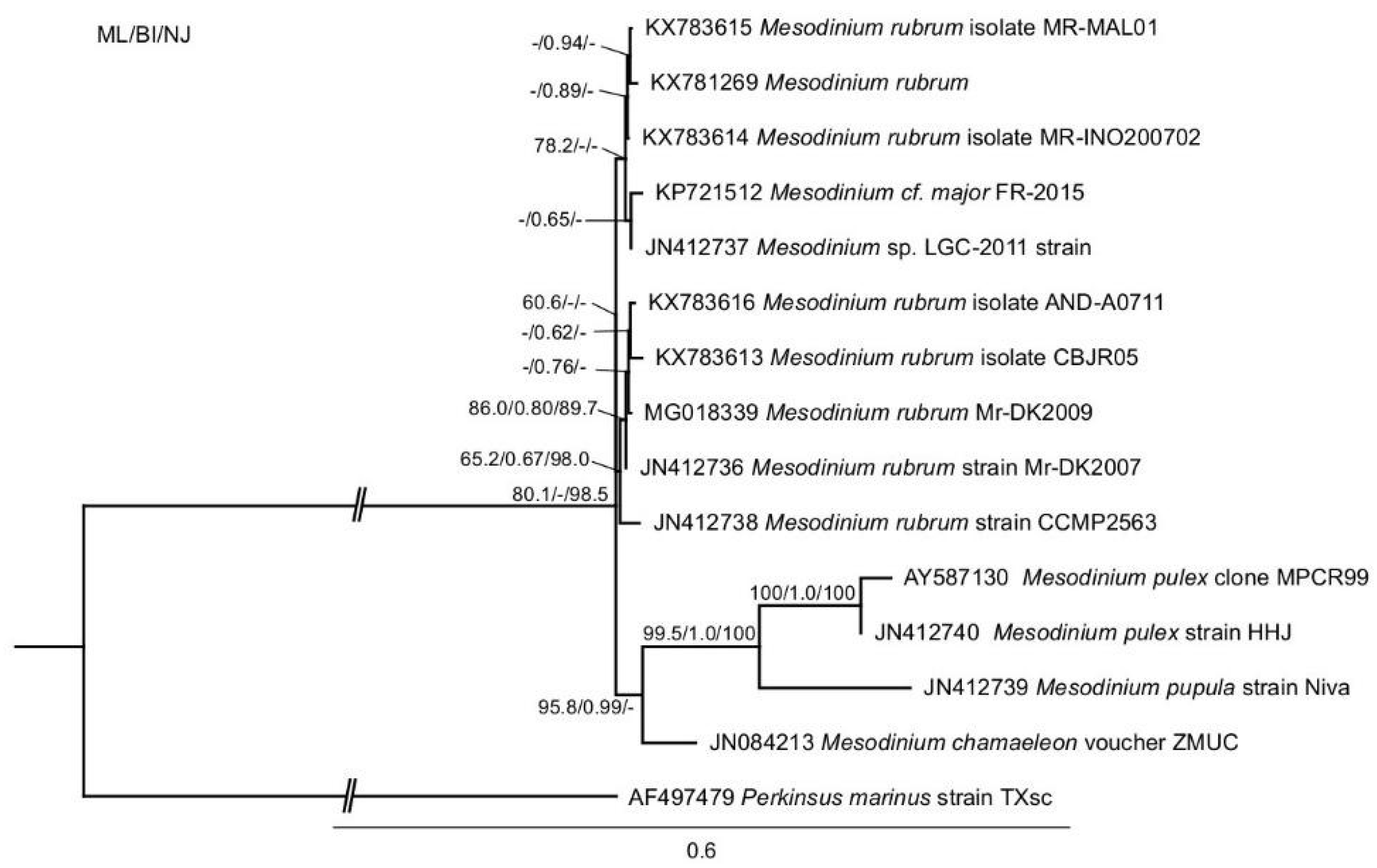 Marinedrugs 16 00143 g001