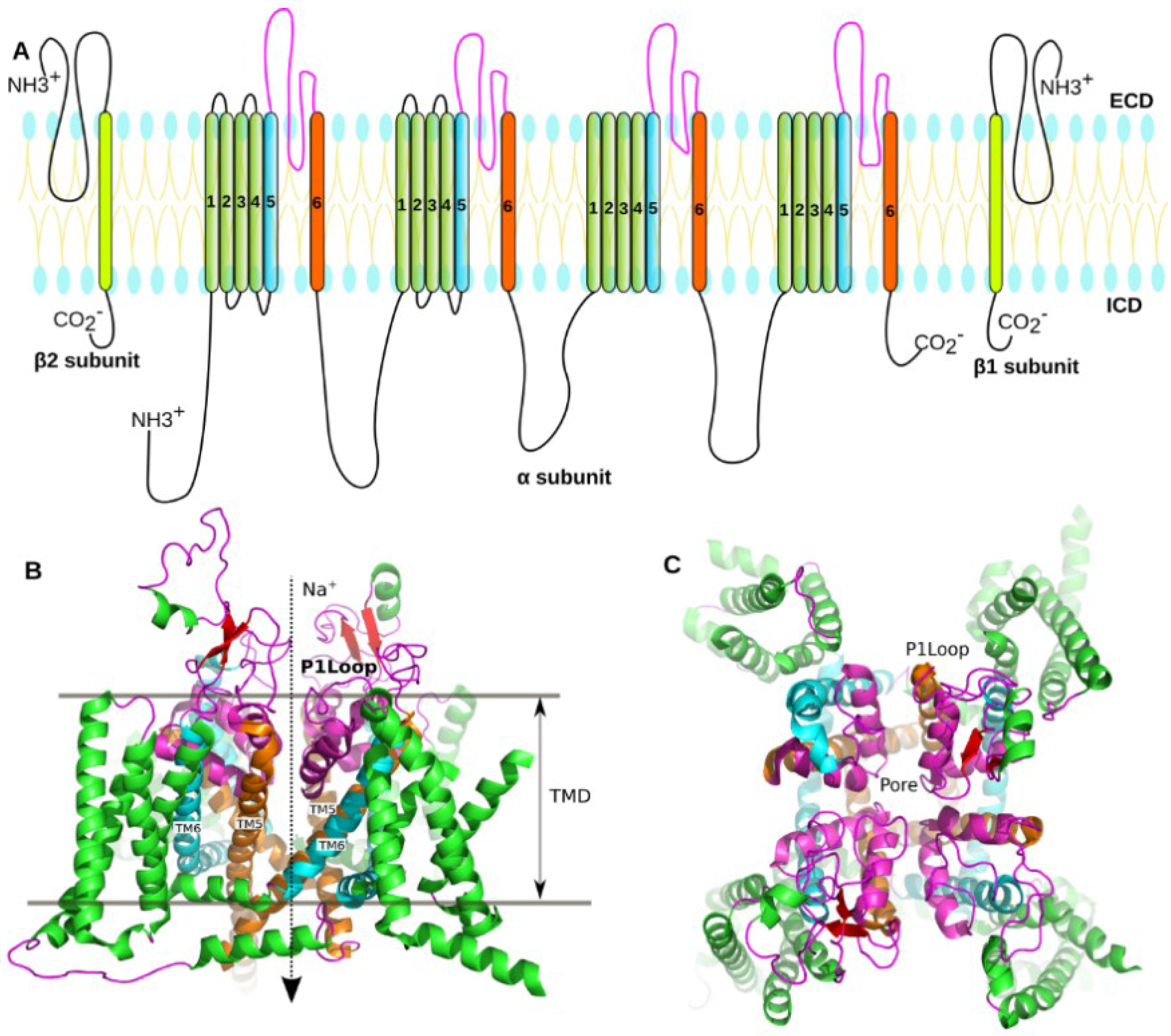 Marinedrugs 16 00153 g001
