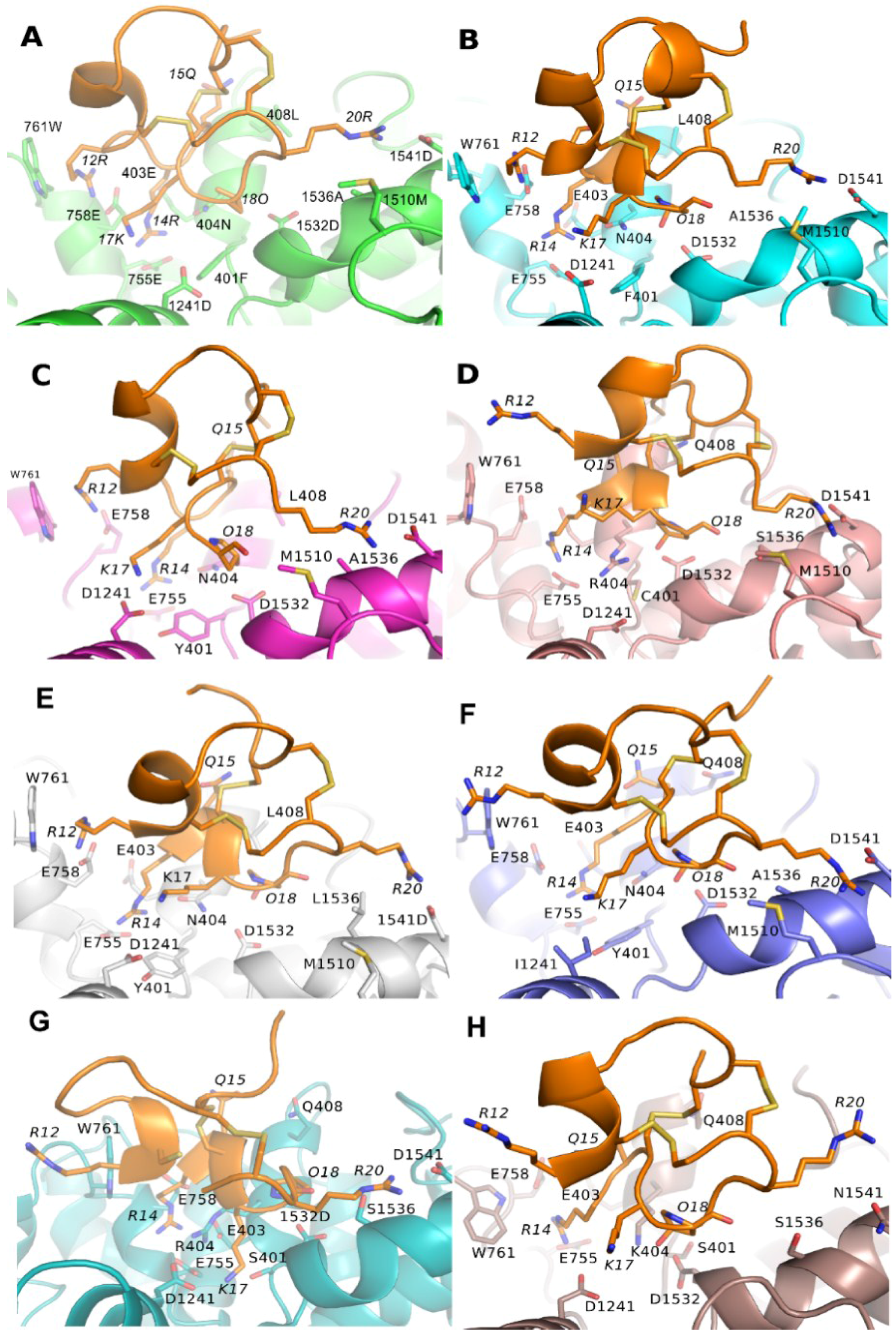 Marinedrugs 16 00153 g005